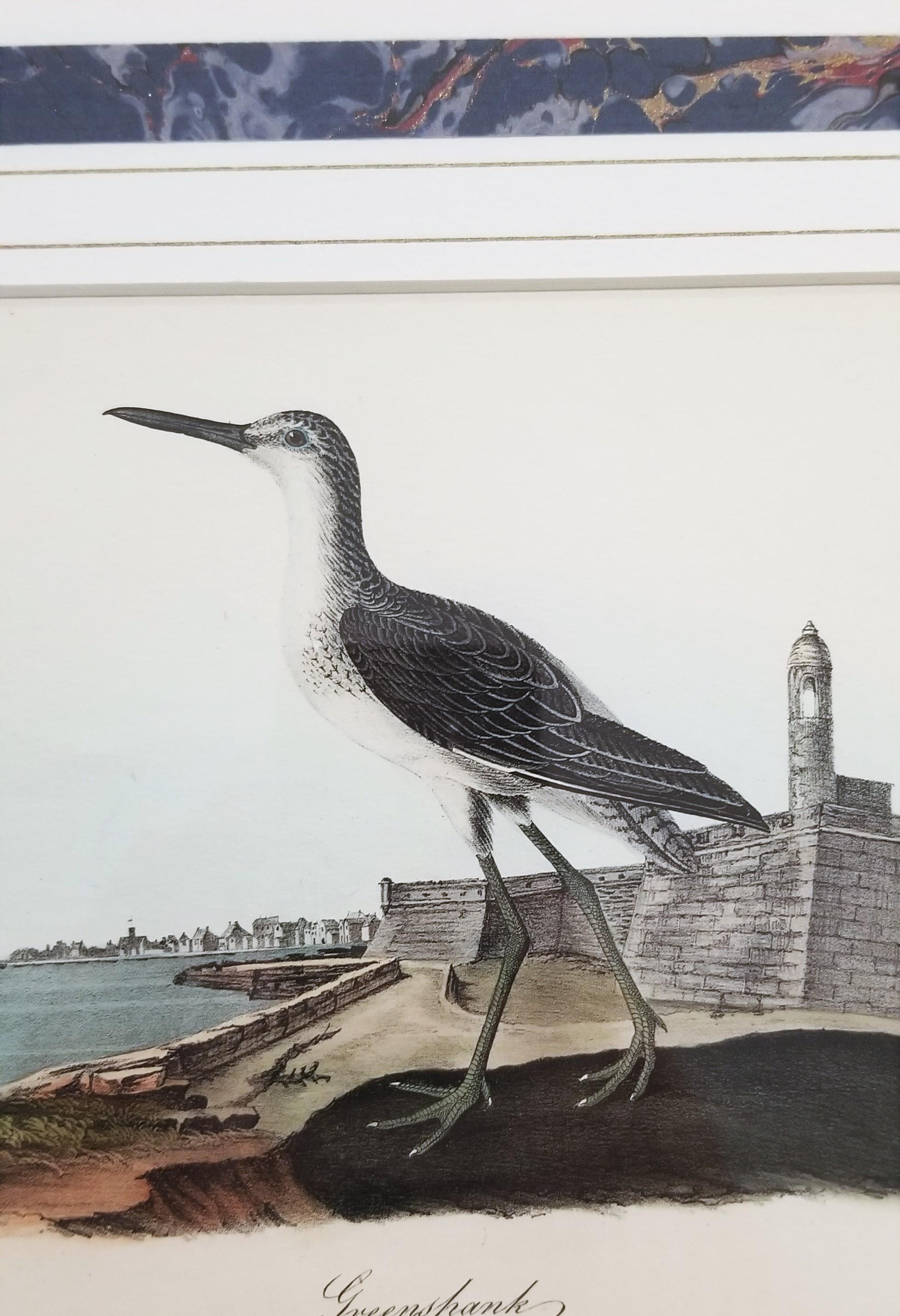 Greenshank (St. Augustine, FL) /// Bird Ornithology John James Audubon Seascape For Sale 8