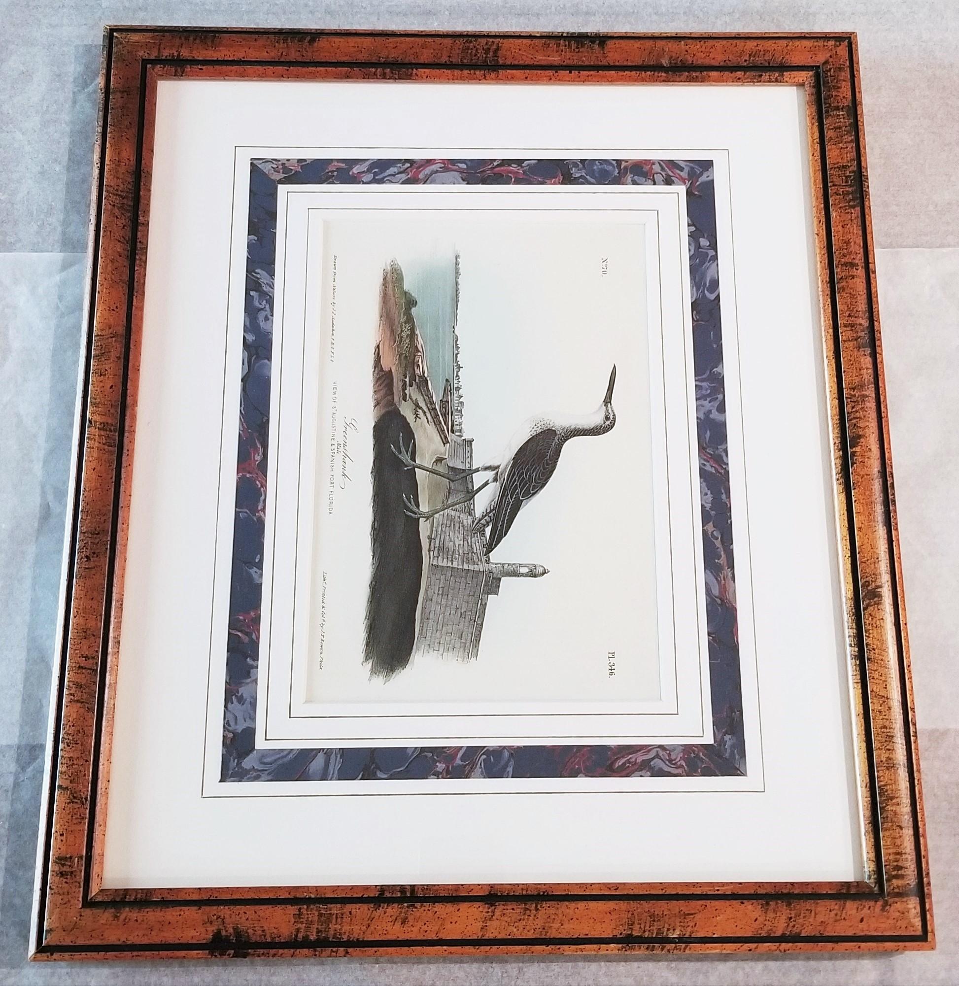 Greenshank (St. Augustine, FL) /// Bird Ornithology John James Audubon Seascape For Sale 14