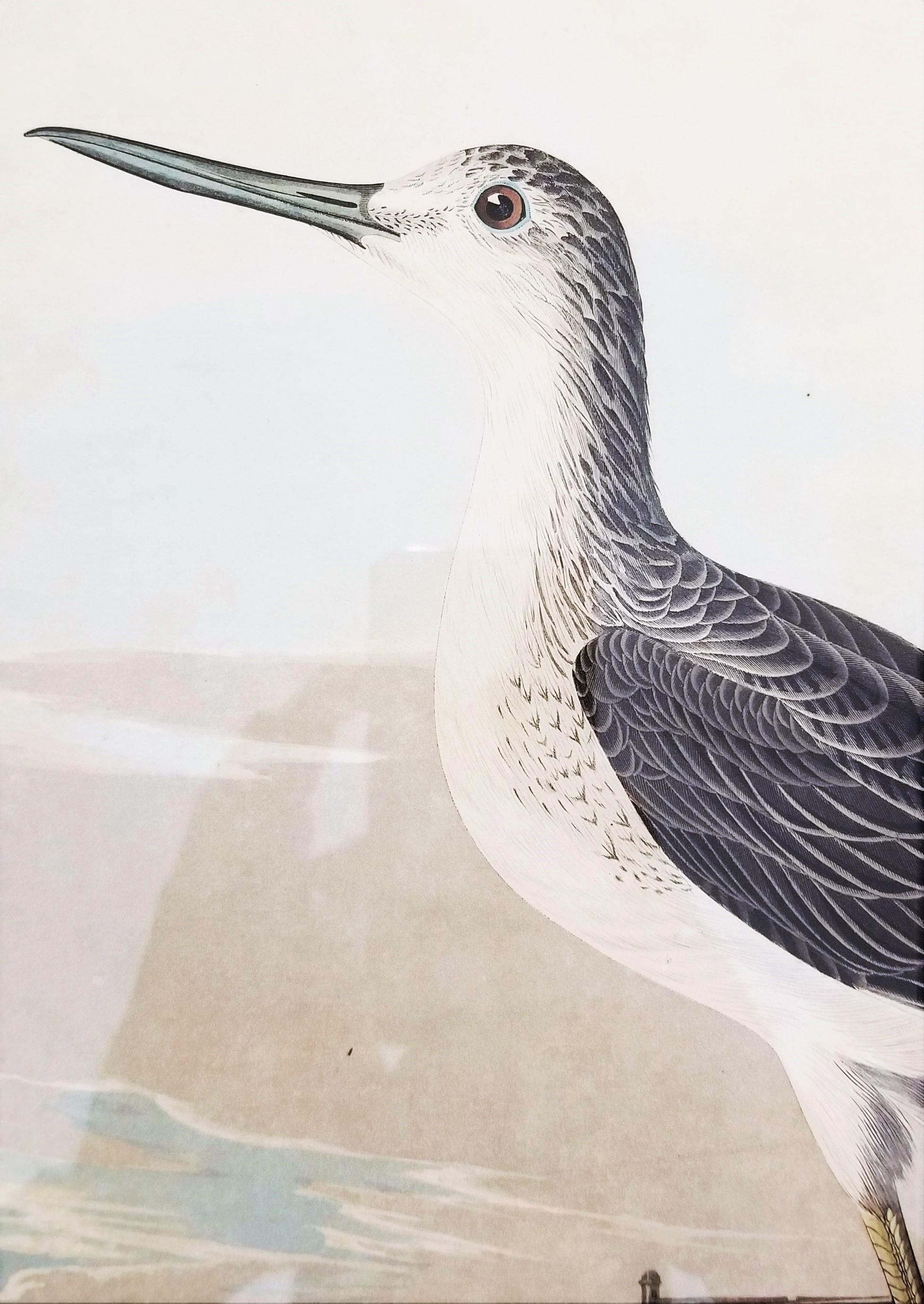 Greenshank (Vue de St. Augustine et d'Espagne Fort East Florida) /// Oiseau Audubon en vente 5