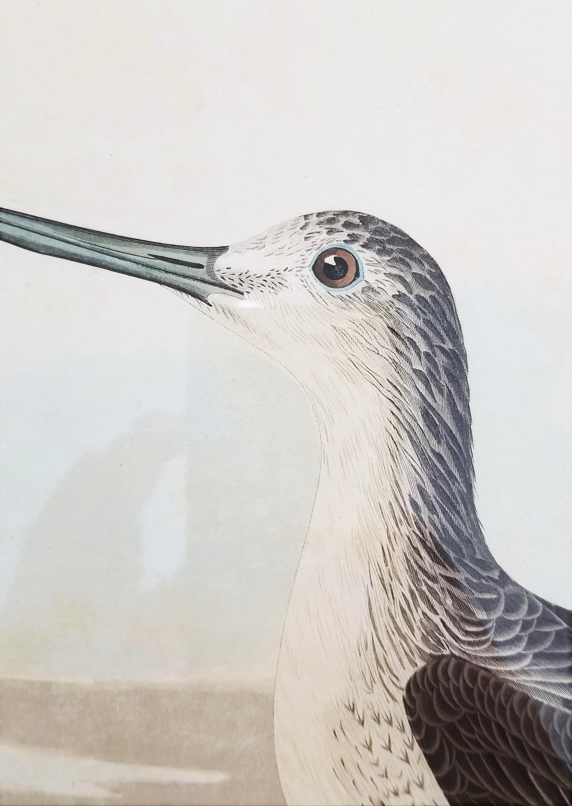 Greenshank (Vue de St. Augustine et d'Espagne Fort East Florida) /// Oiseau Audubon en vente 6