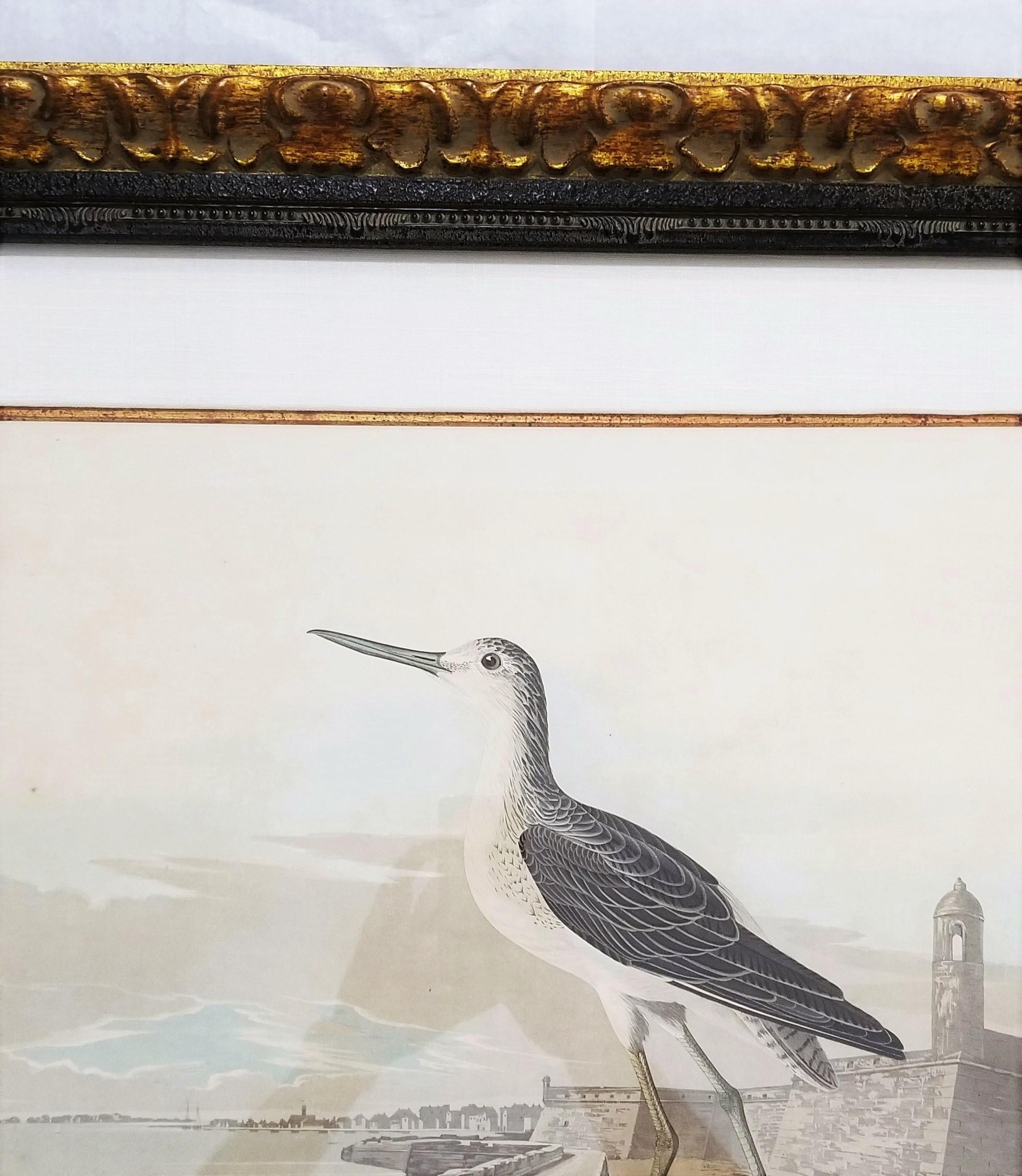 Greenshank (Vue de St. Augustine et d'Espagne Fort East Florida) /// Oiseau Audubon en vente 3