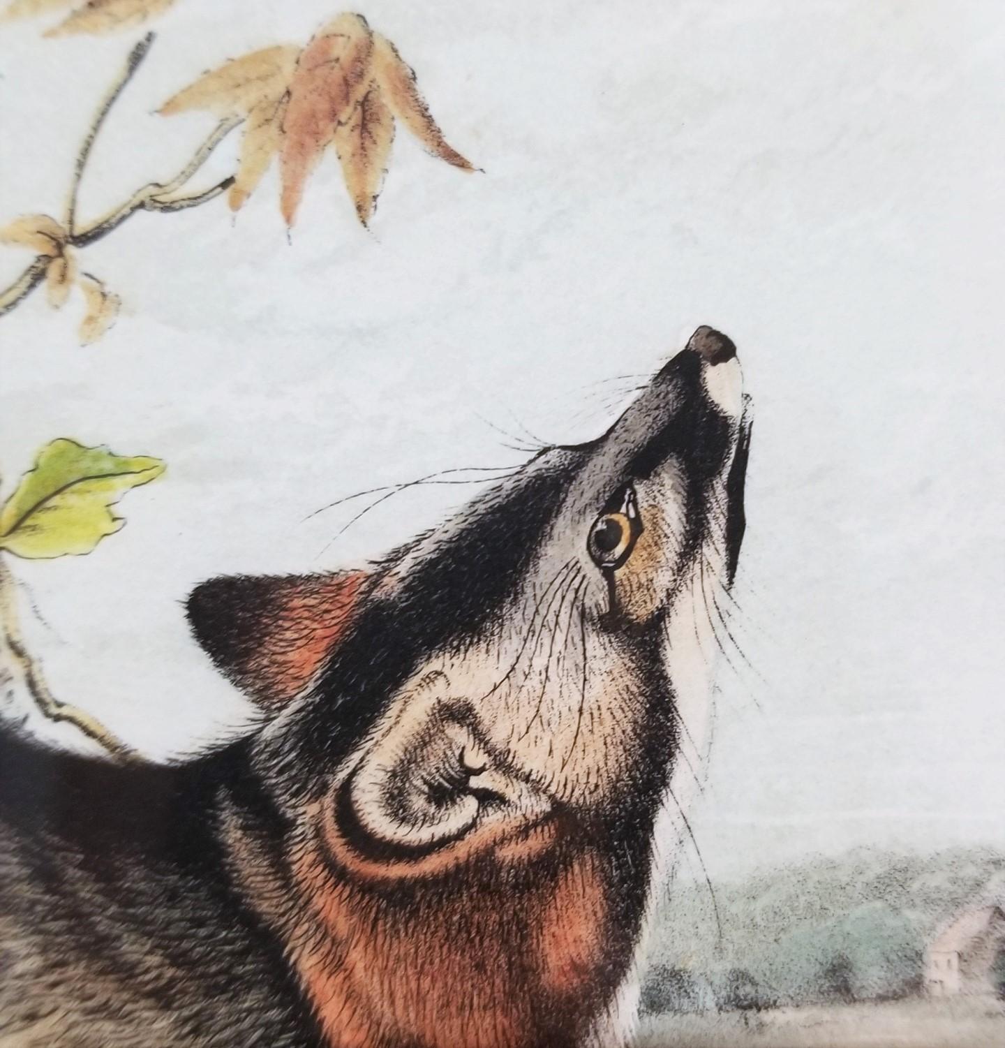 Grey Fox /// Natural History Animal Nature John James Audubon Antique Lithograph For Sale 7