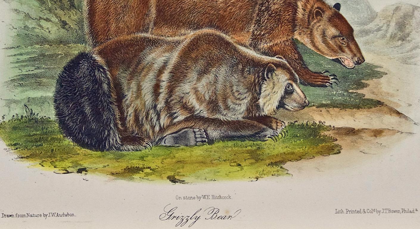 This is an original John James Audubon hand-colored royal octavo lithograph entitled 