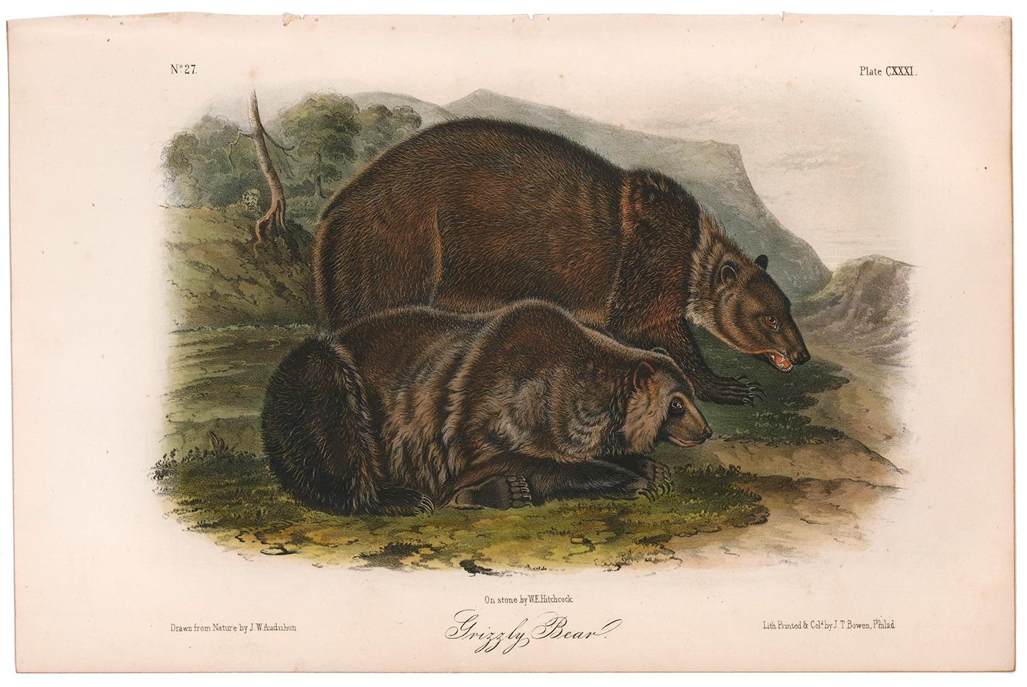 Grizzly Bear by Audubon - Print by John James Audubon