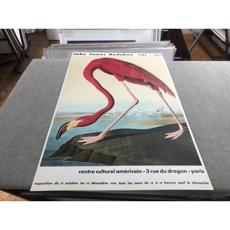 John James Audubon 'American Flamingo' 1960- Lithograph- Vintage For Sale 4