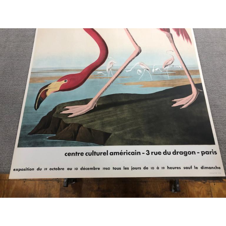 John James Audubon 'American Flamingo' 1960- Lithograph- Vintage For Sale 8