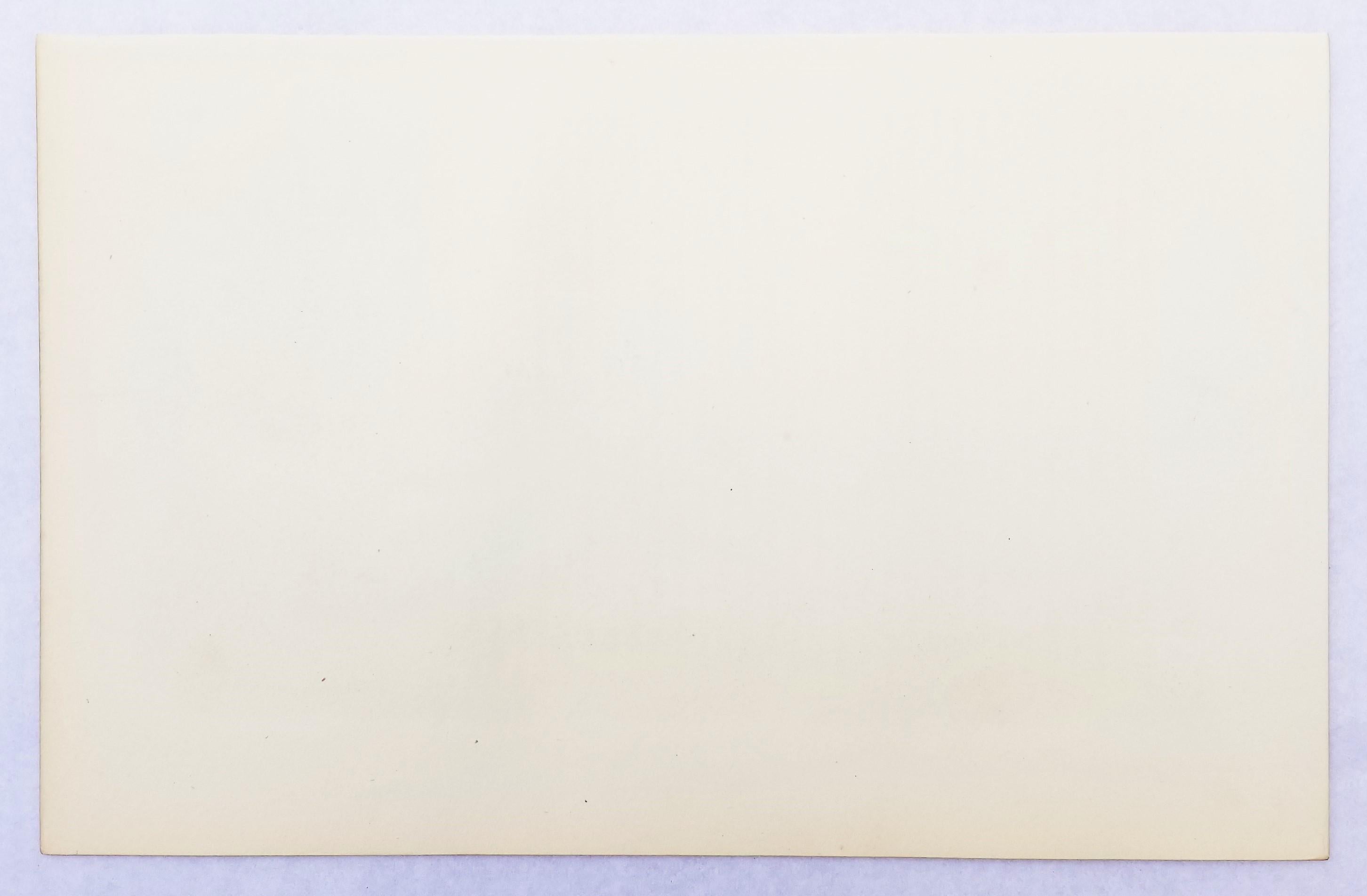 Courlis à long bec (Ville de Charleston) /// Ornithologie Oiseau de John James Audubon en vente 13