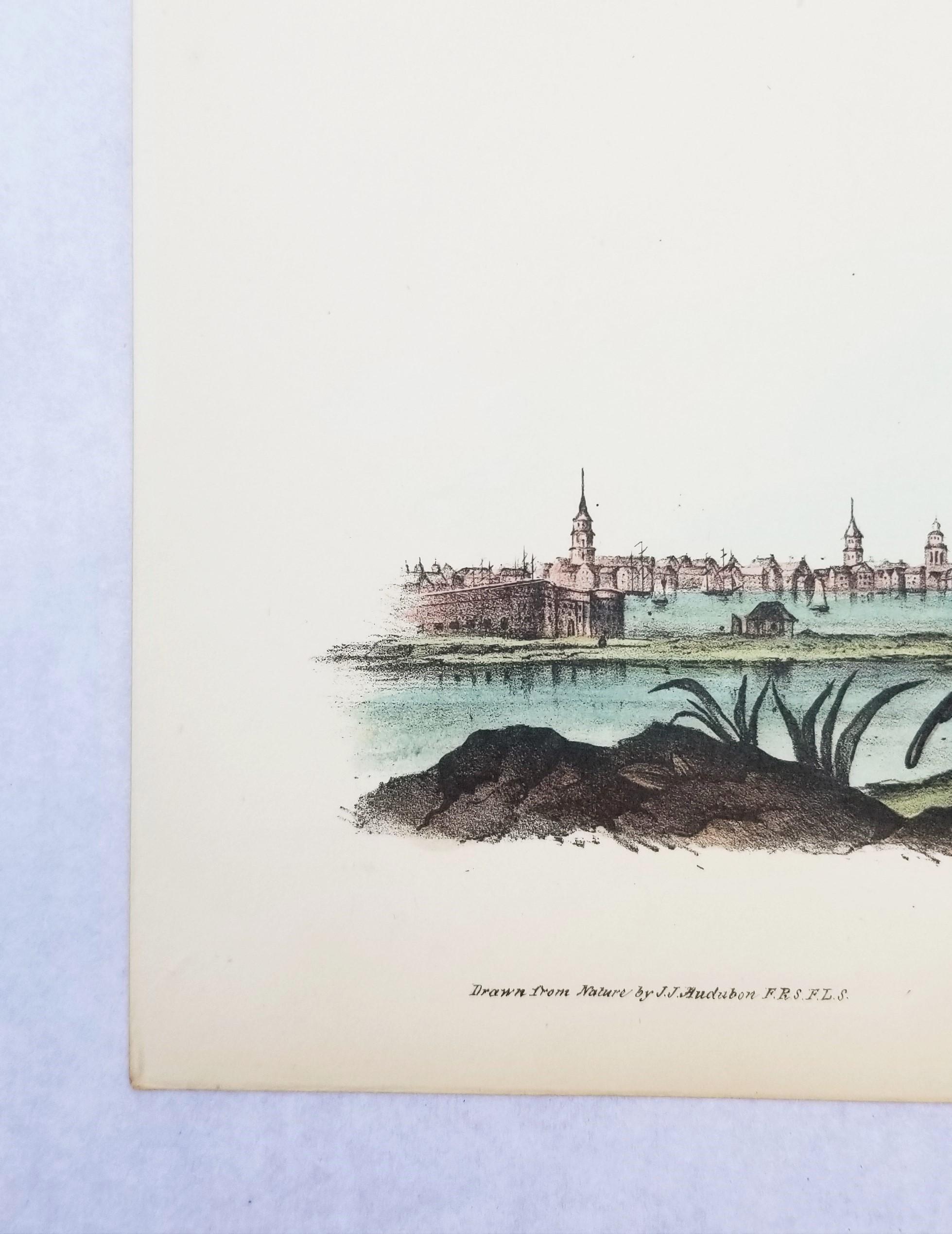 Courlis à long bec (Ville de Charleston) /// Ornithologie Oiseau de John James Audubon en vente 3