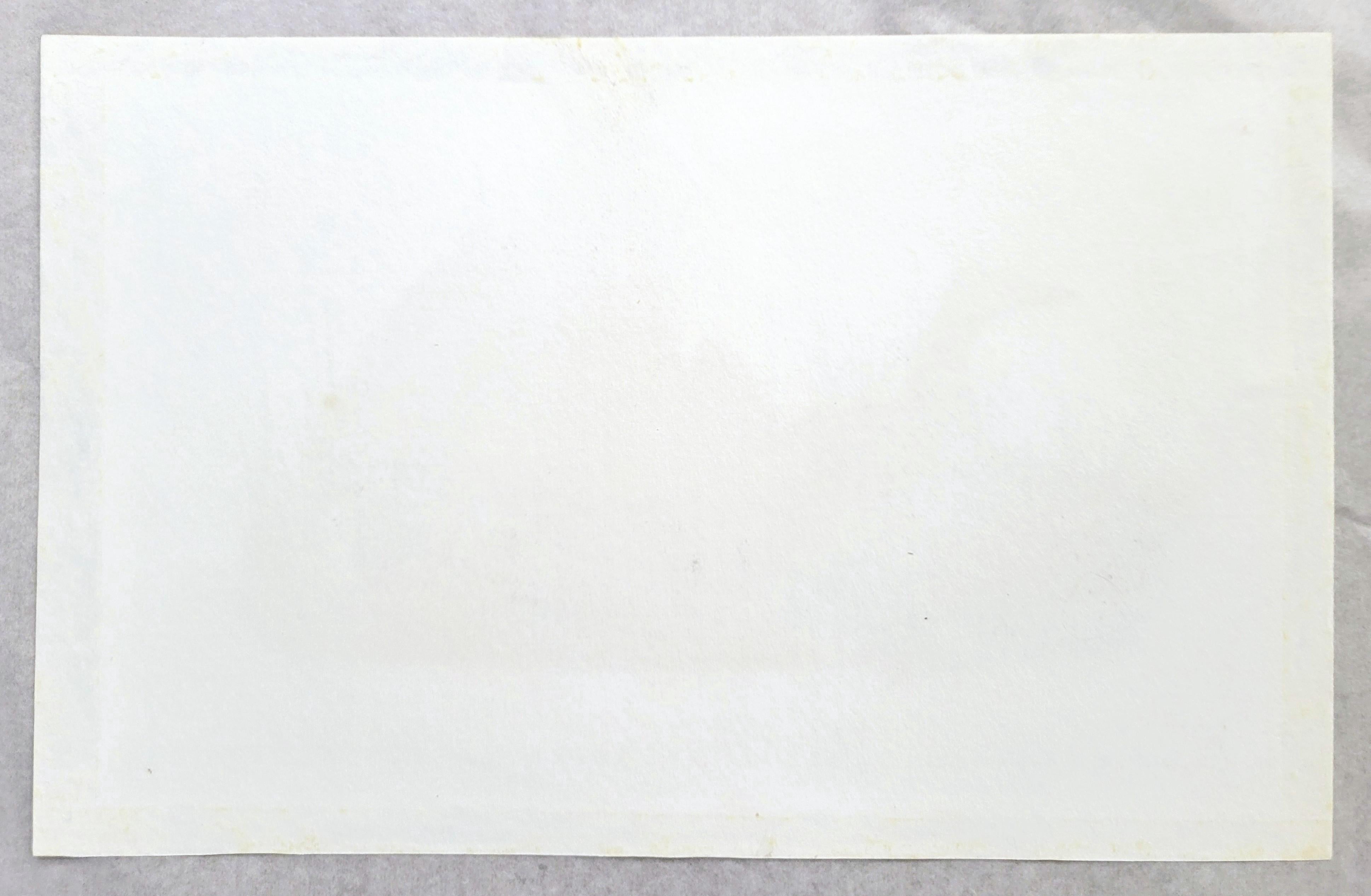 Canard colvert /// John James Audubon Canards Oiseau d'eau Ornithologie Lithographie Art en vente 13