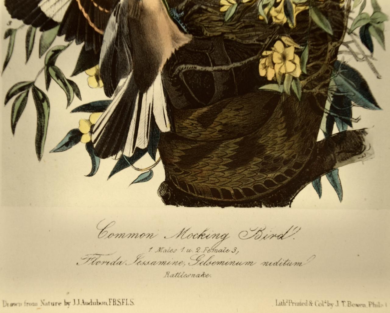 „ „Mocking Bird““, Original handkolorierte Audubon-Lithographie in Octavo-Ausgabe  (Beige), Animal Print, von John James Audubon