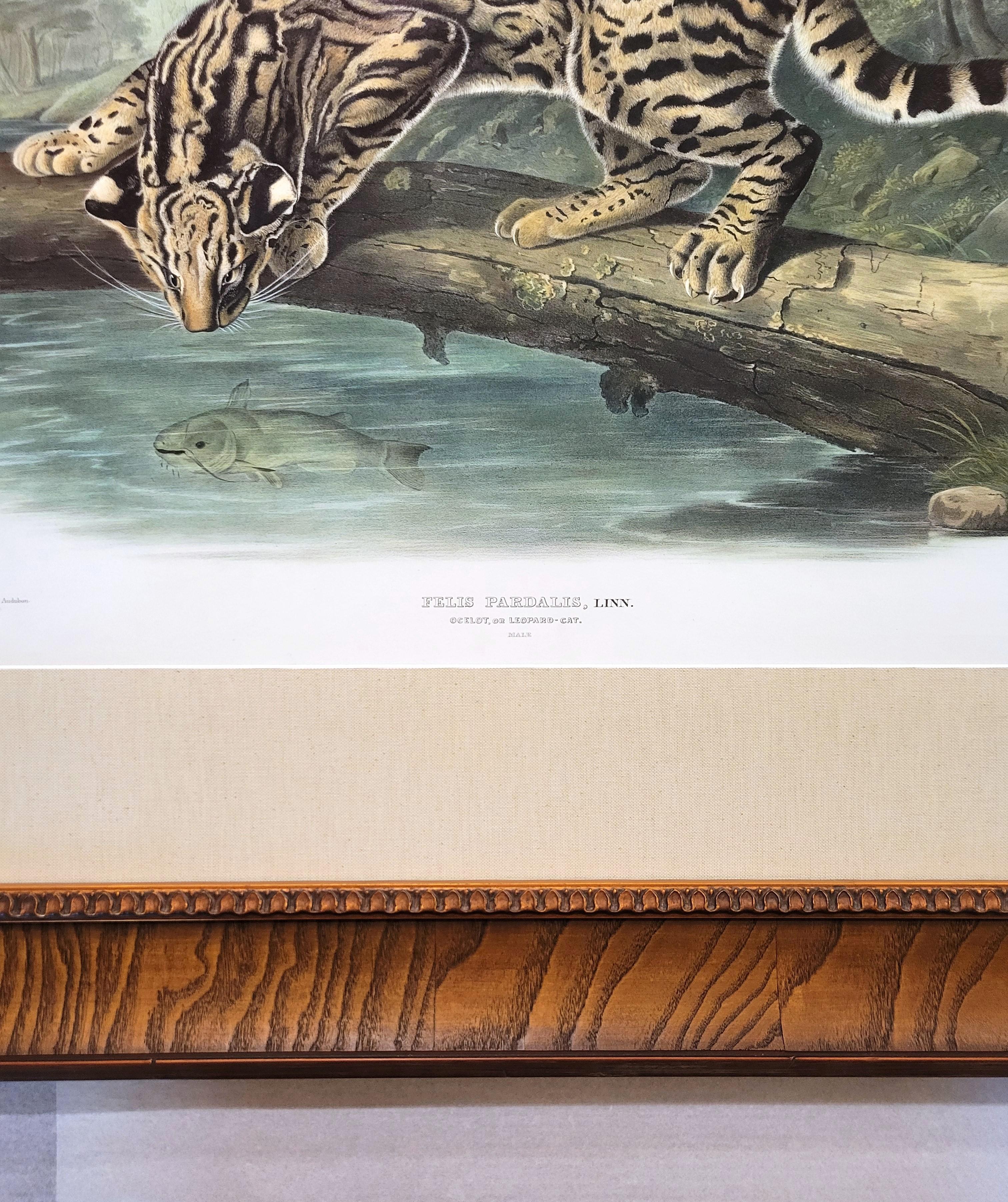 Ocelot, or Leopard-Cat /// John James Audubon Quadruped Big Wild Cat Animal Art en vente 10
