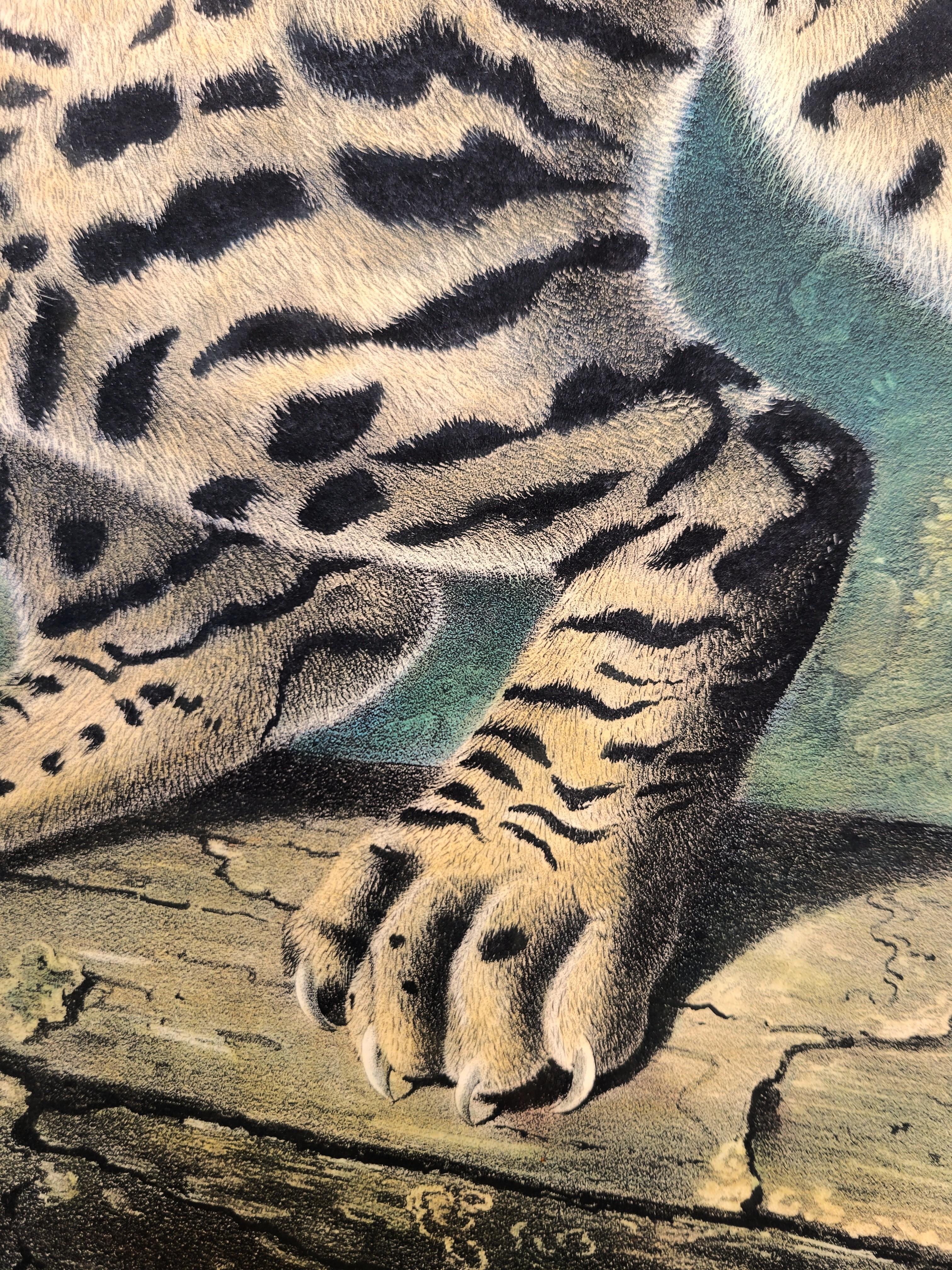 Ocelot, or Leopard-Cat /// John James Audubon Quadruped Big Wild Cat Animal Art en vente 14