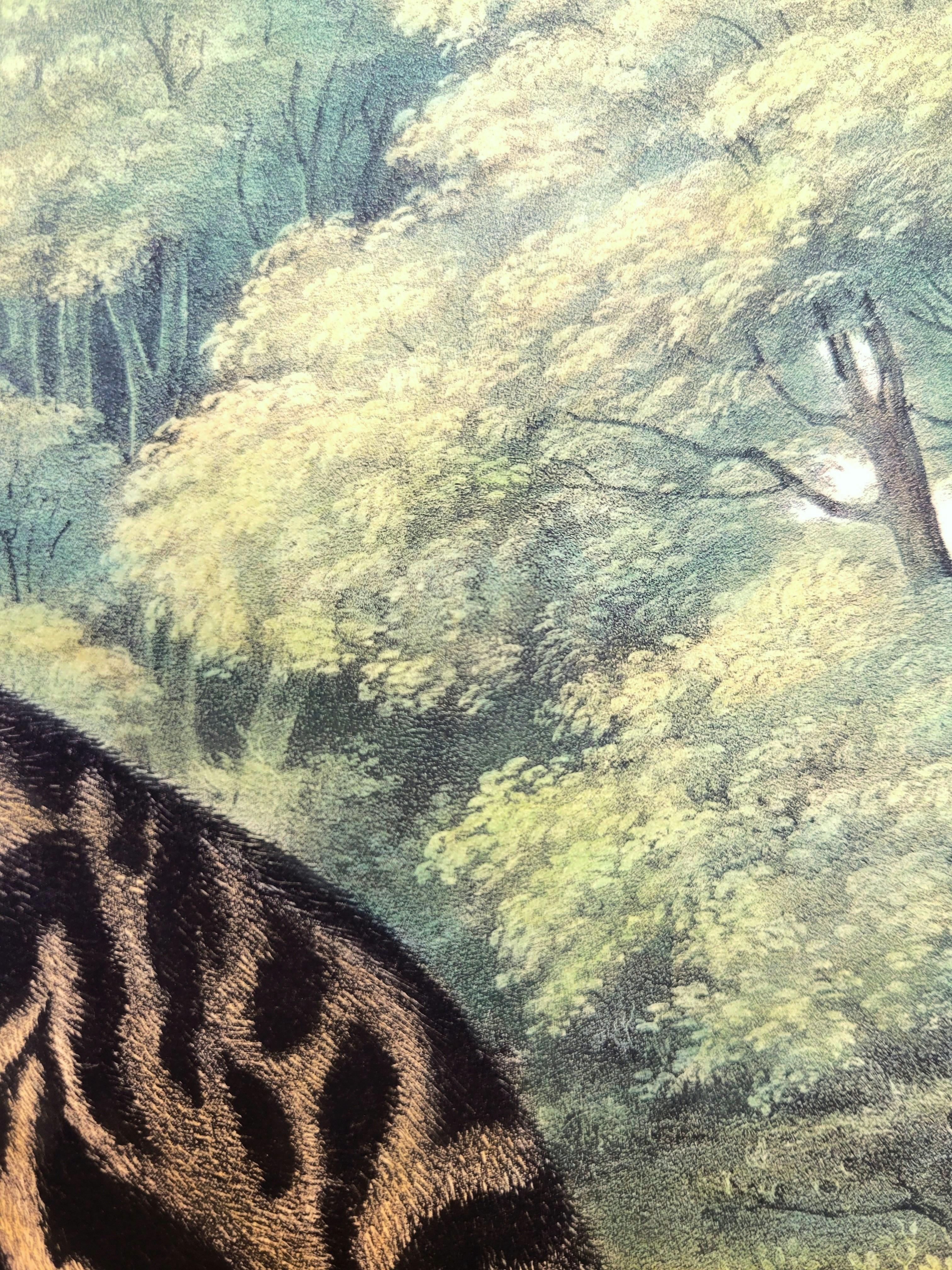 Ocelot, or Leopard-Cat /// John James Audubon Quadruped Big Wild Cat Animal Art en vente 16