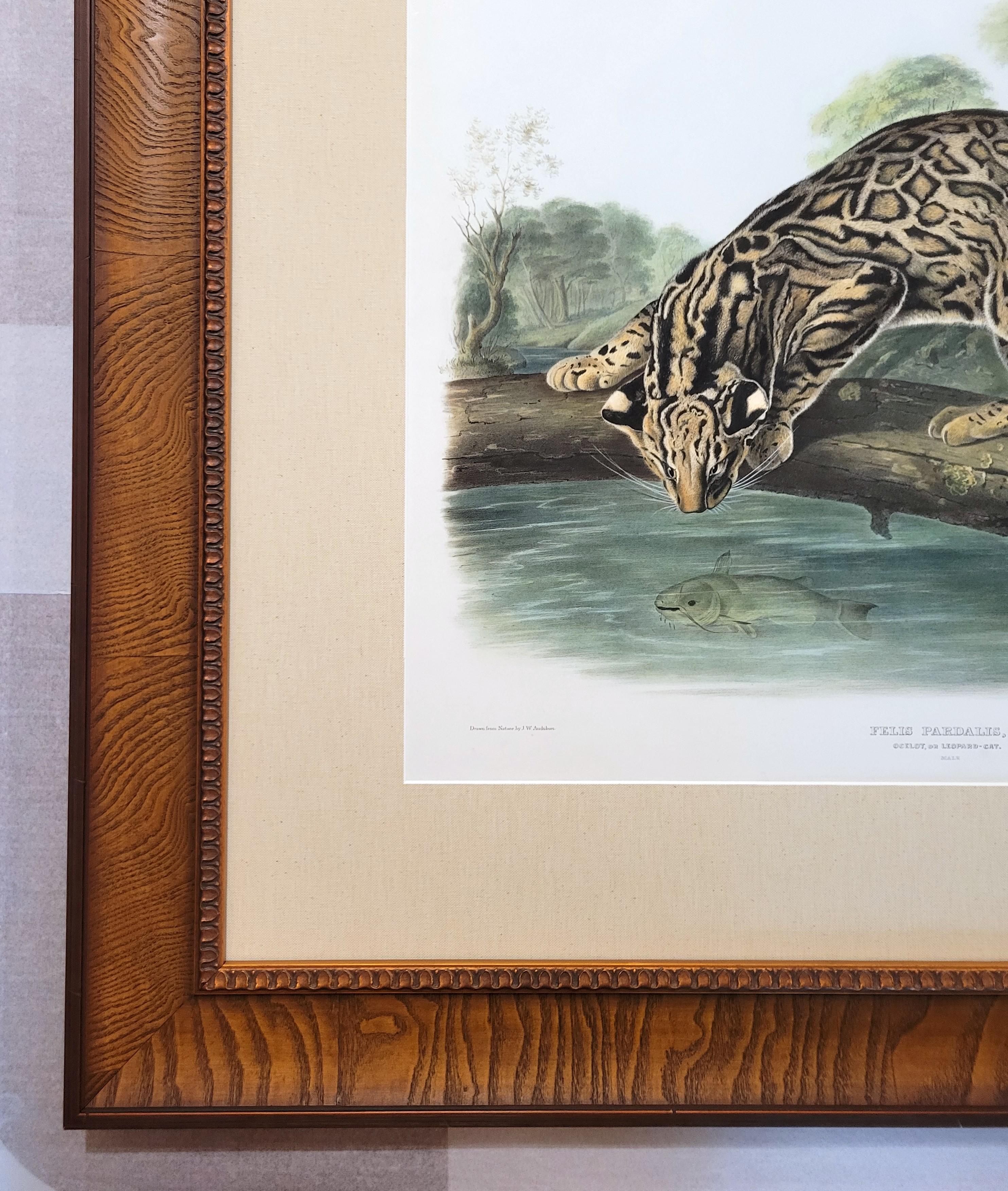 Ocelot, or Leopard-Cat /// John James Audubon Quadruped Big Wild Cat Animal Art en vente 5