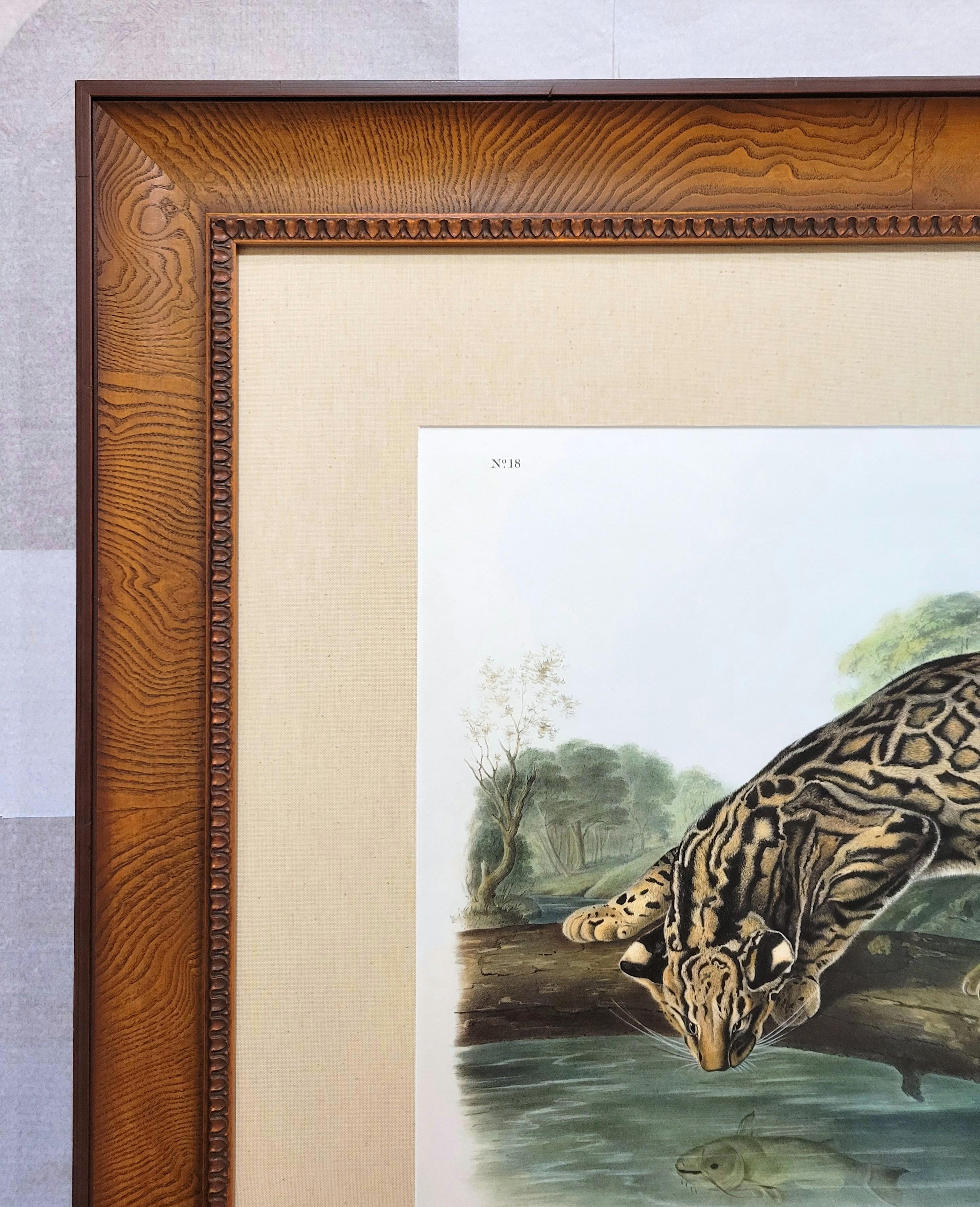 Ocelot, or Leopard-Cat /// John James Audubon Quadruped Big Wild Cat Animal Art en vente 6