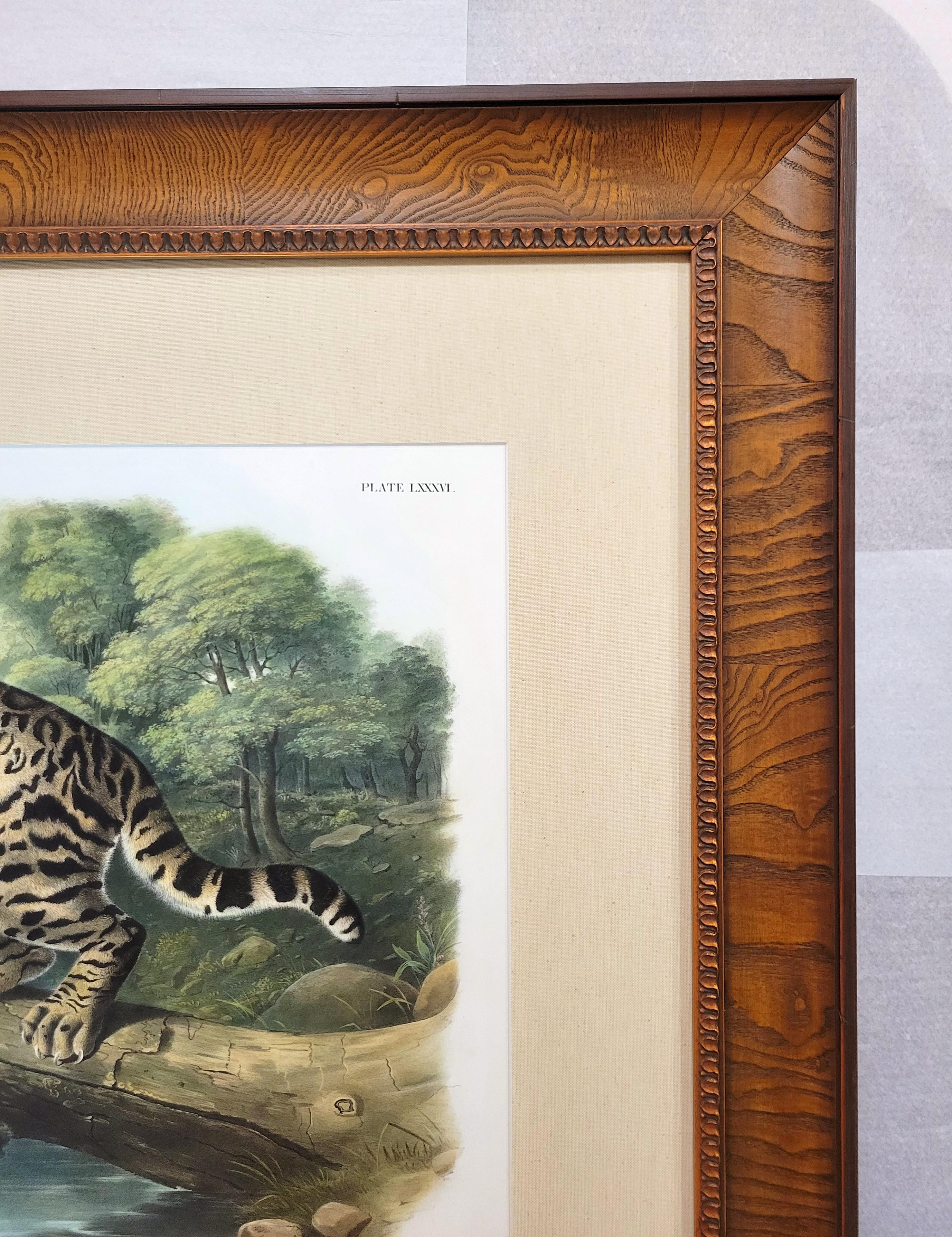 Ocelot, or Leopard-Cat /// John James Audubon Quadruped Big Wild Cat Animal Art en vente 7
