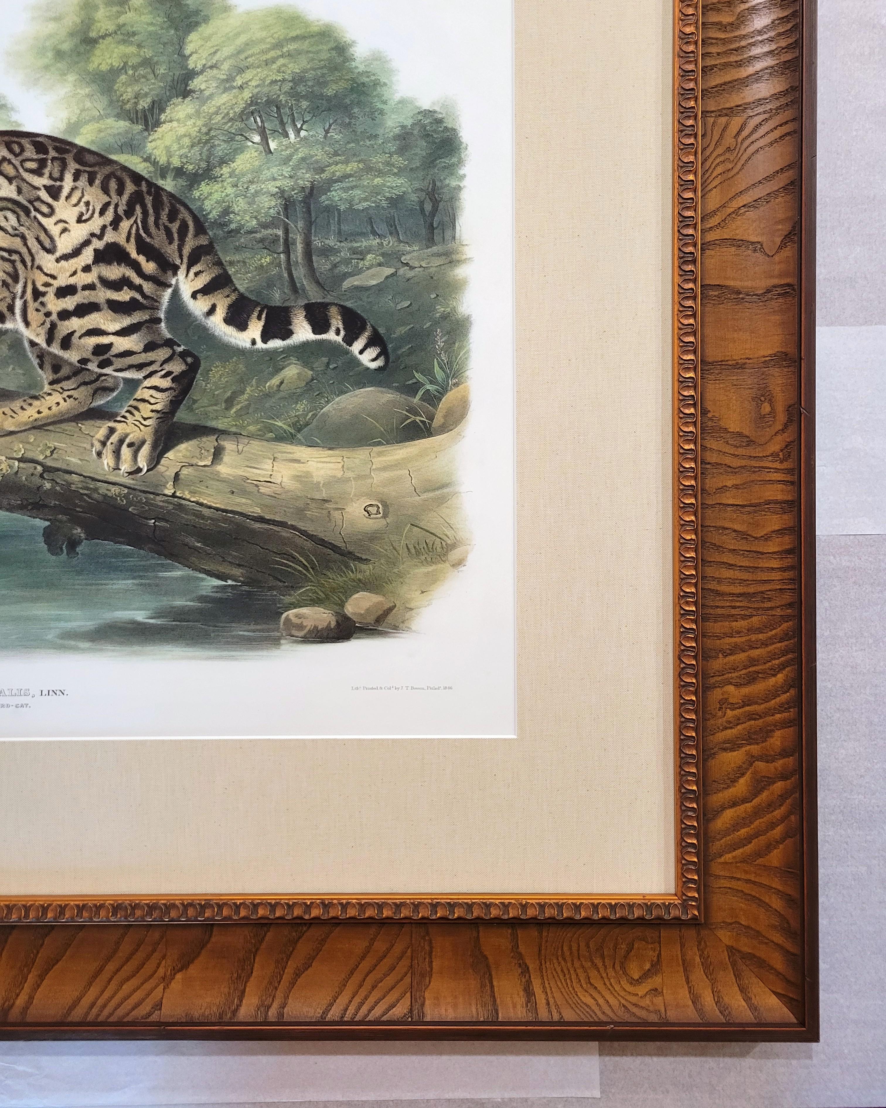 Ocelot, or Leopard-Cat /// John James Audubon Quadruped Big Wild Cat Animal Art en vente 8