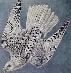 Original Audubon Hand Colored Bird Lithograph of "Iceland or Gyr Falcon"