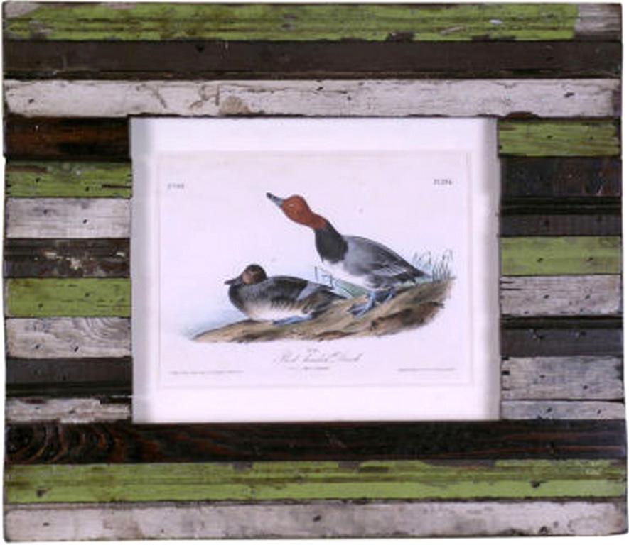 Red-headed Duck - Print by John James Audubon
