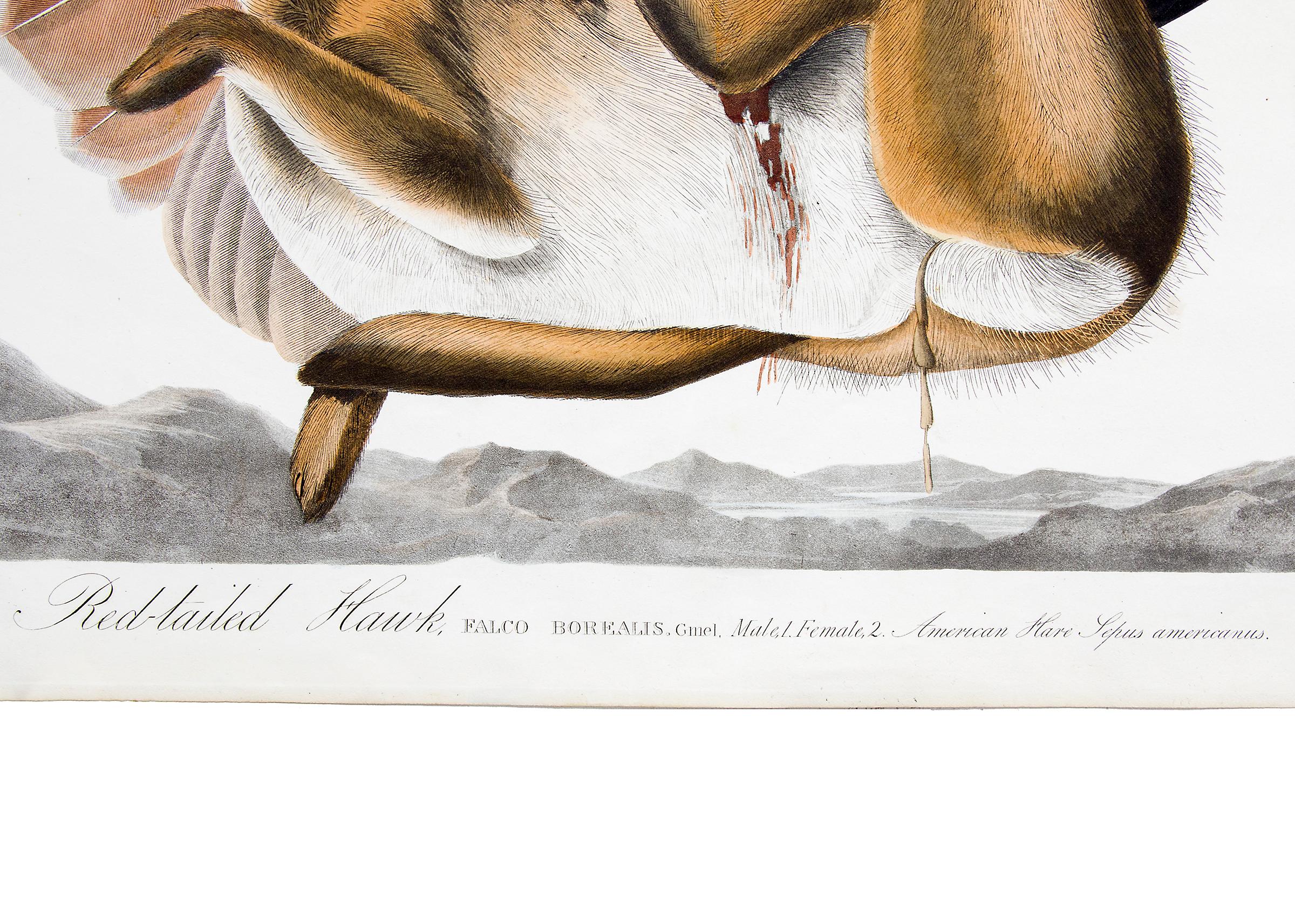 audubon double elephant folio for sale