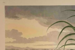 Roseate Spoonbill, Edition Pl. 321