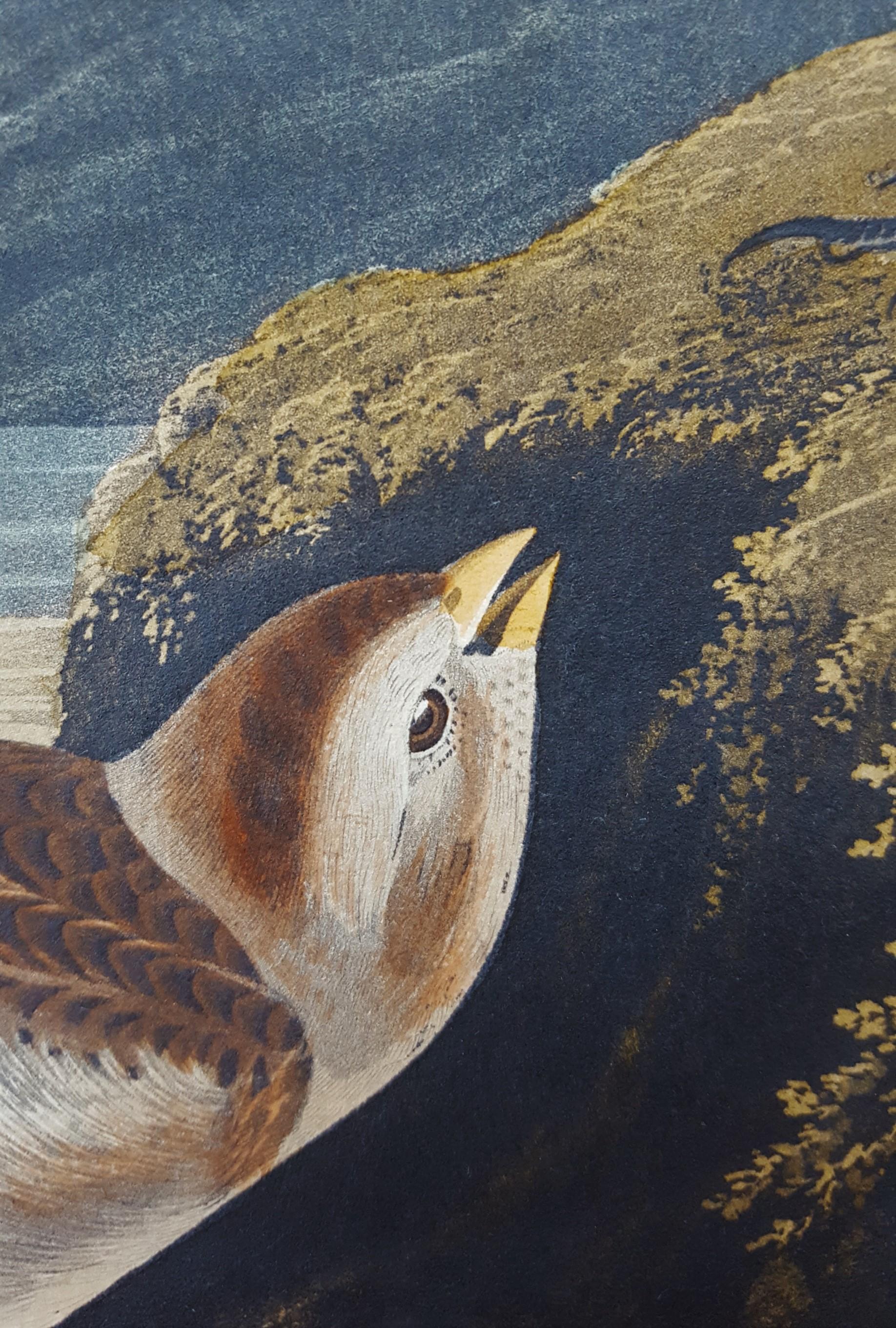 Snow Bunting /// Ornithology John James Audubon Bird Animal Landscape Havell Art For Sale 11