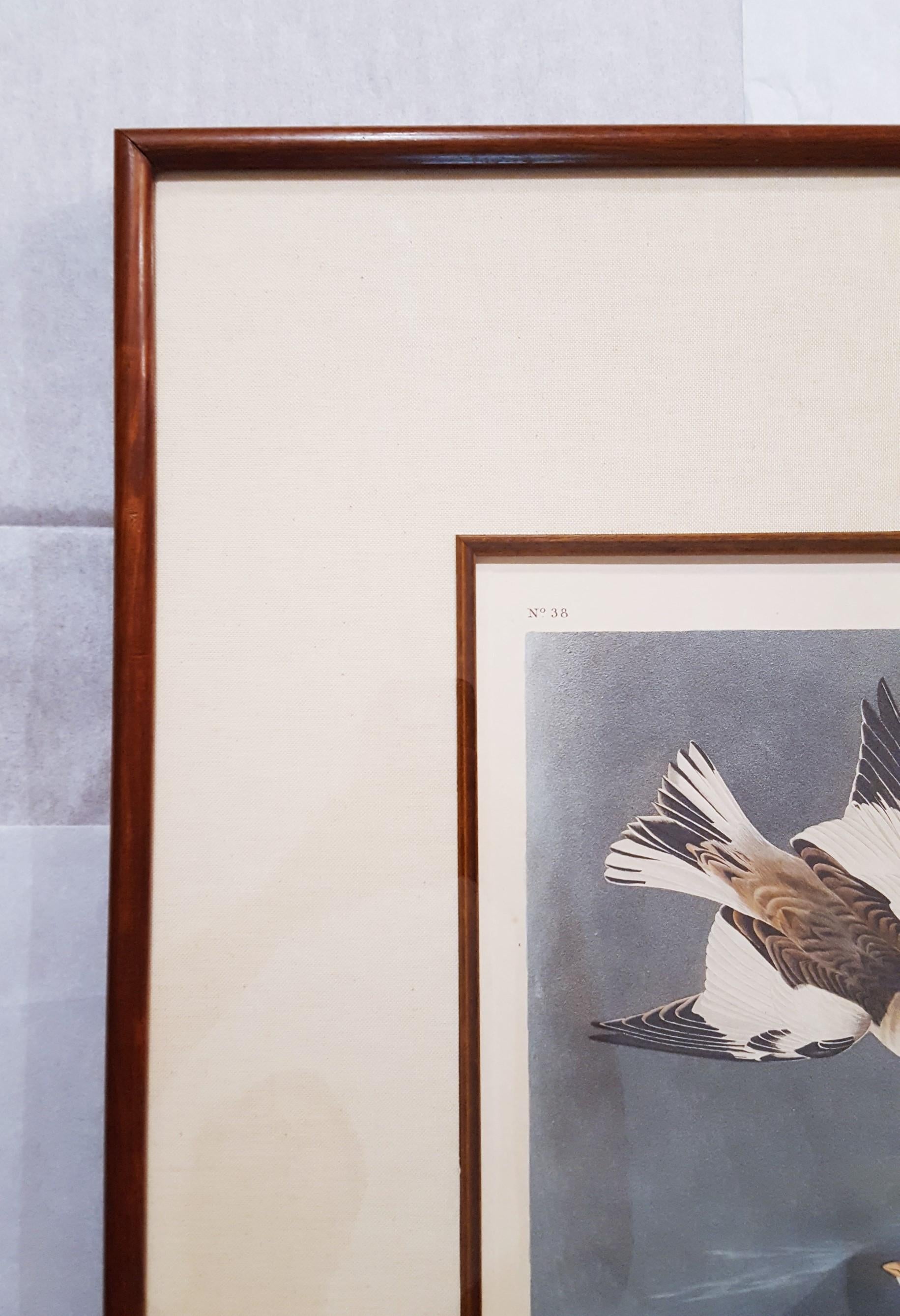 Montre de neige /// Ornithologie John James Audubon Oiseau Animal Landscape Havell Art en vente 4