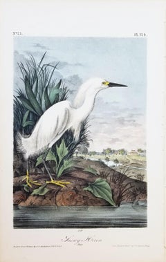 Snowy Heron /// John James Audubon Natural History Ornithology Snowy Egret Bird