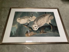 "Snowy Owls",  Oppenheimer Editions, 2006, Ed 200 on Watercolor paper