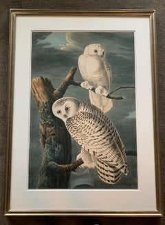 "Snowy Owls",  Oppenheimer Editions, 2006, Ed 200 on Watercolor paper