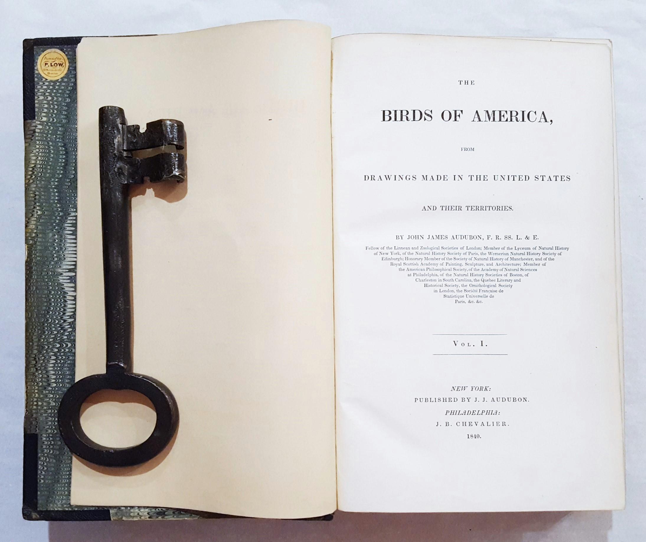 The Birds of America, First Royal Octavo Edition (Vol. I) - Naturalistic Print by John James Audubon