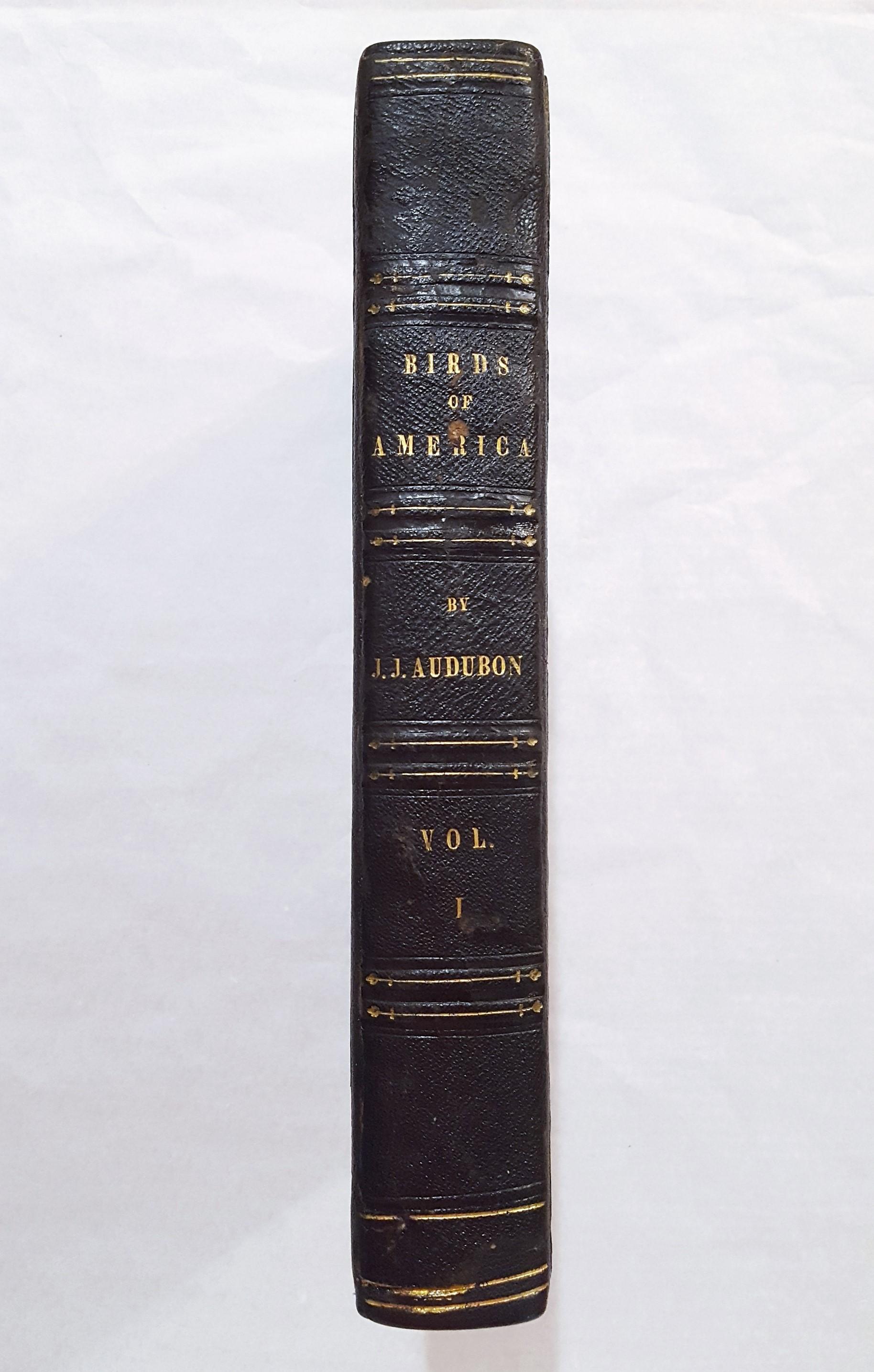 John James Audubon Animal Print - The Birds of America, First Royal Octavo Edition (Vol. I)