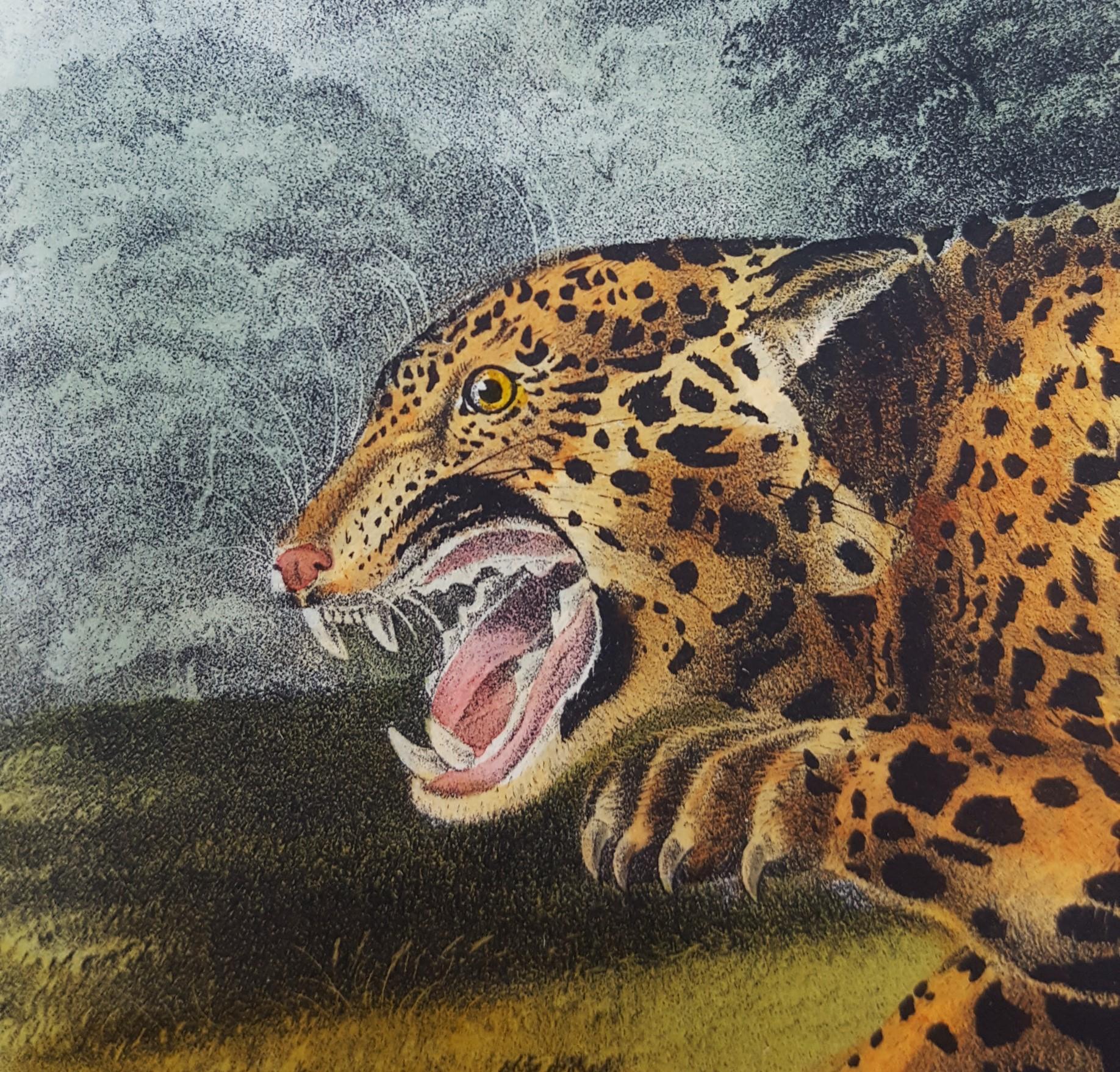The Jaguar /// Natural History Animal Art Big Cat John James Audubon Wildlife  10