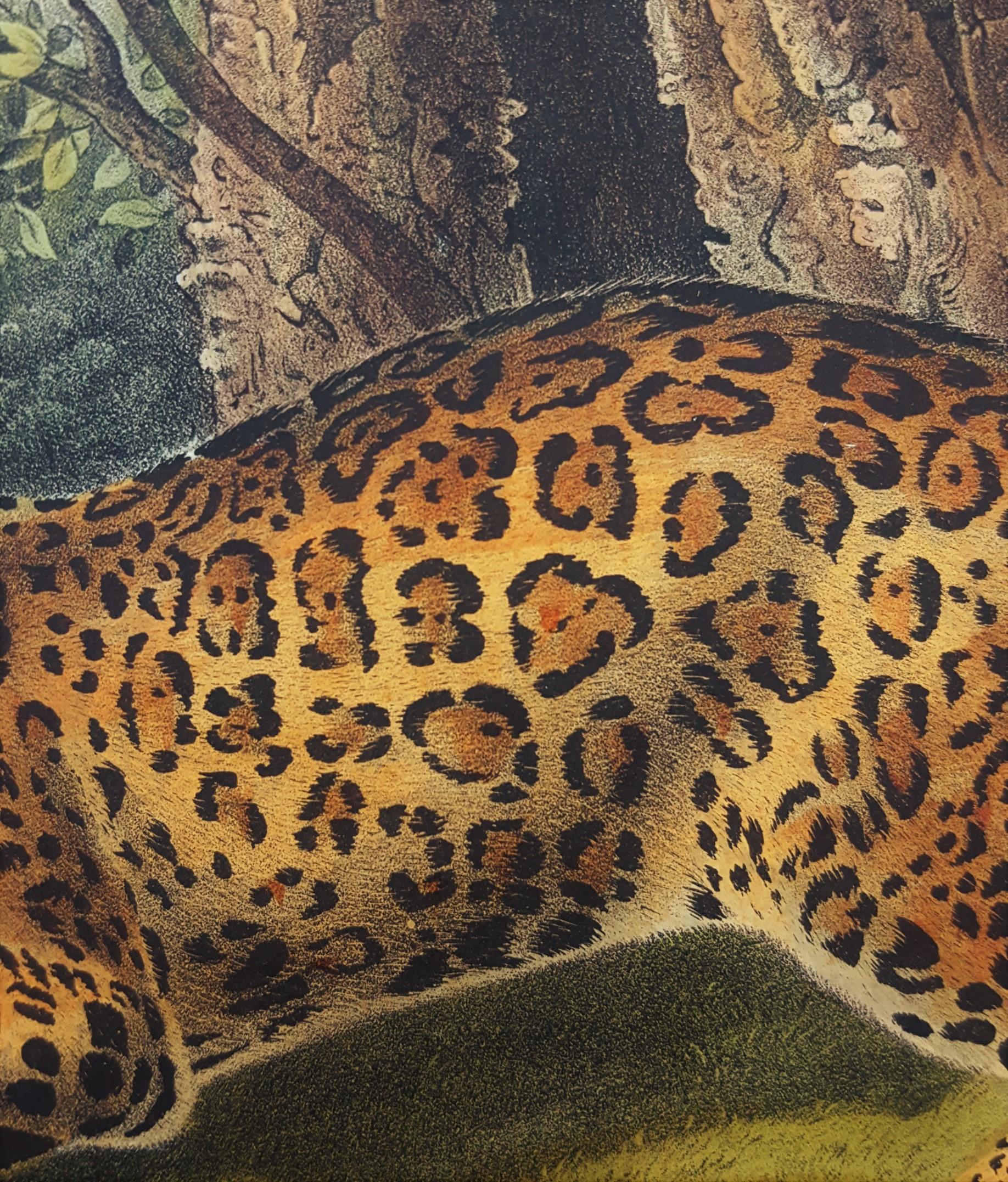 The Jaguar /// Natural History Animal Art Big Cat John James Audubon Wildlife  11