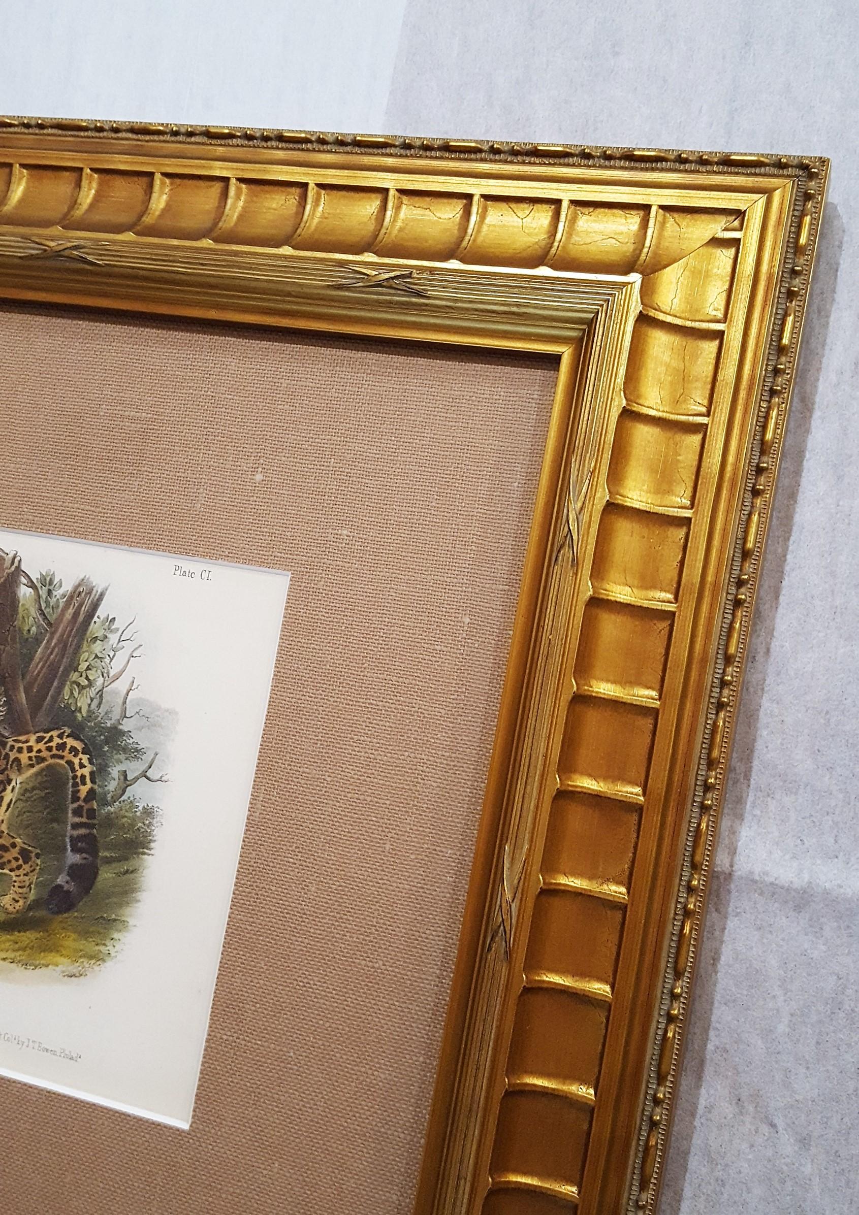 The Jaguar /// Natural History Animal Art Big Cat John James Audubon Wildlife 2