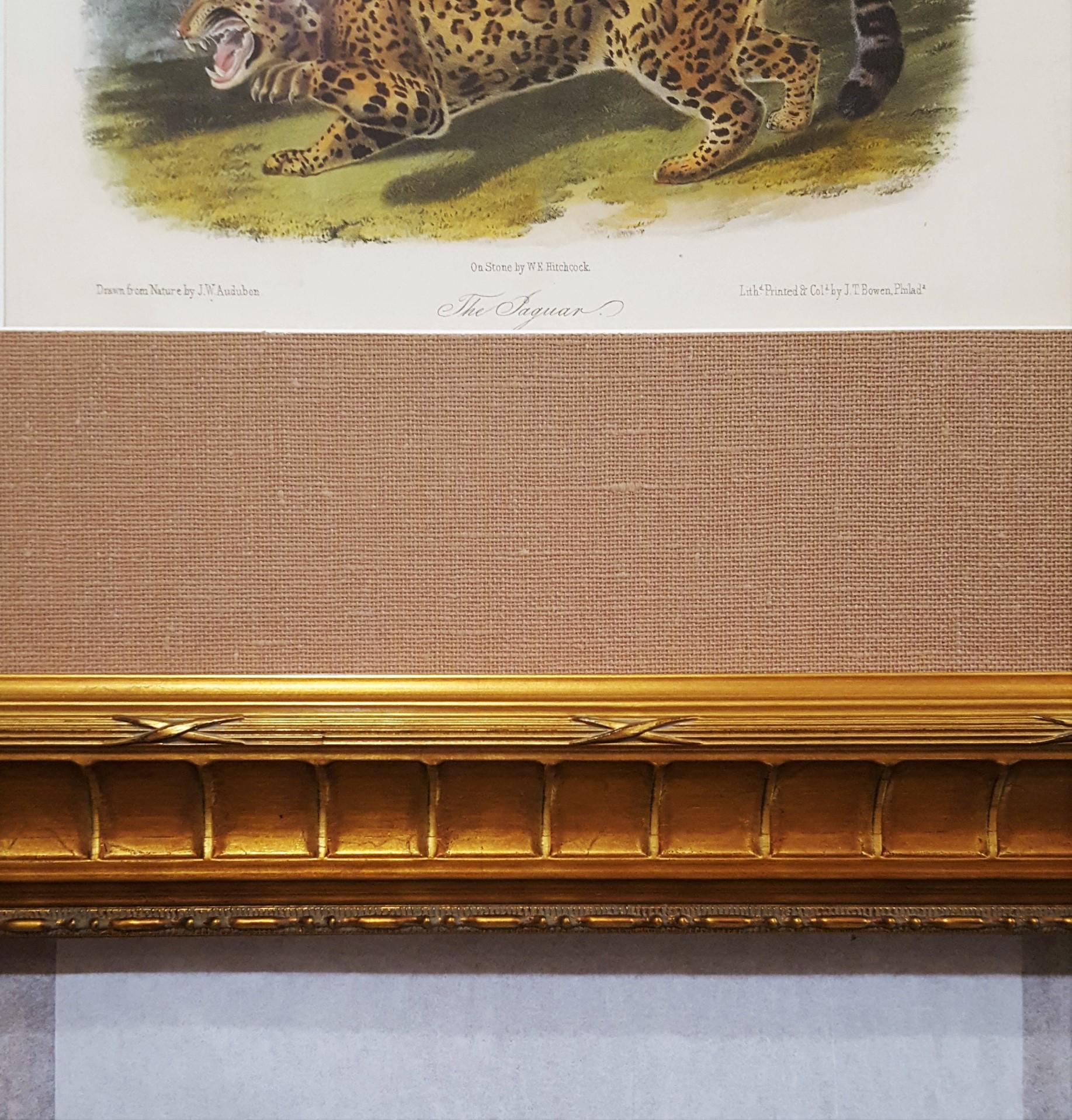 The Jaguar /// Natural History Animal Art Big Cat John James Audubon Wildlife  5