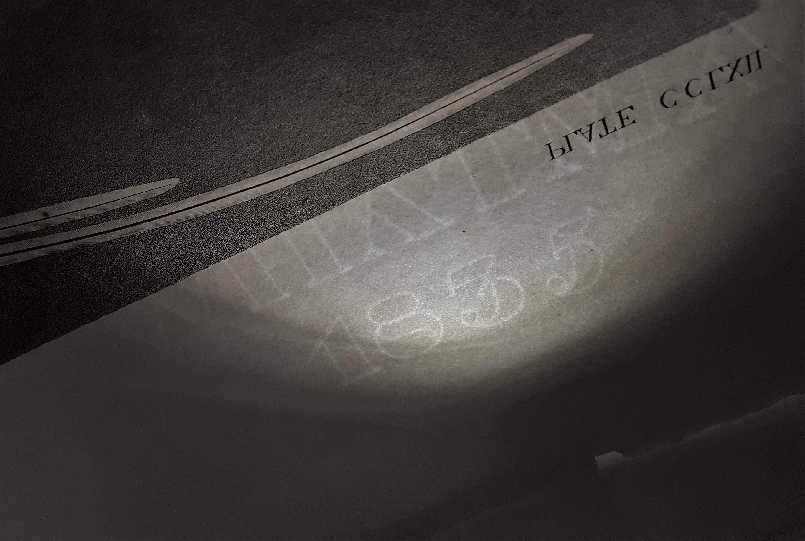 Oiseau tropical /// Ornithologie John James Audubon Florida Keys Ocean Beach Seascape en vente 19