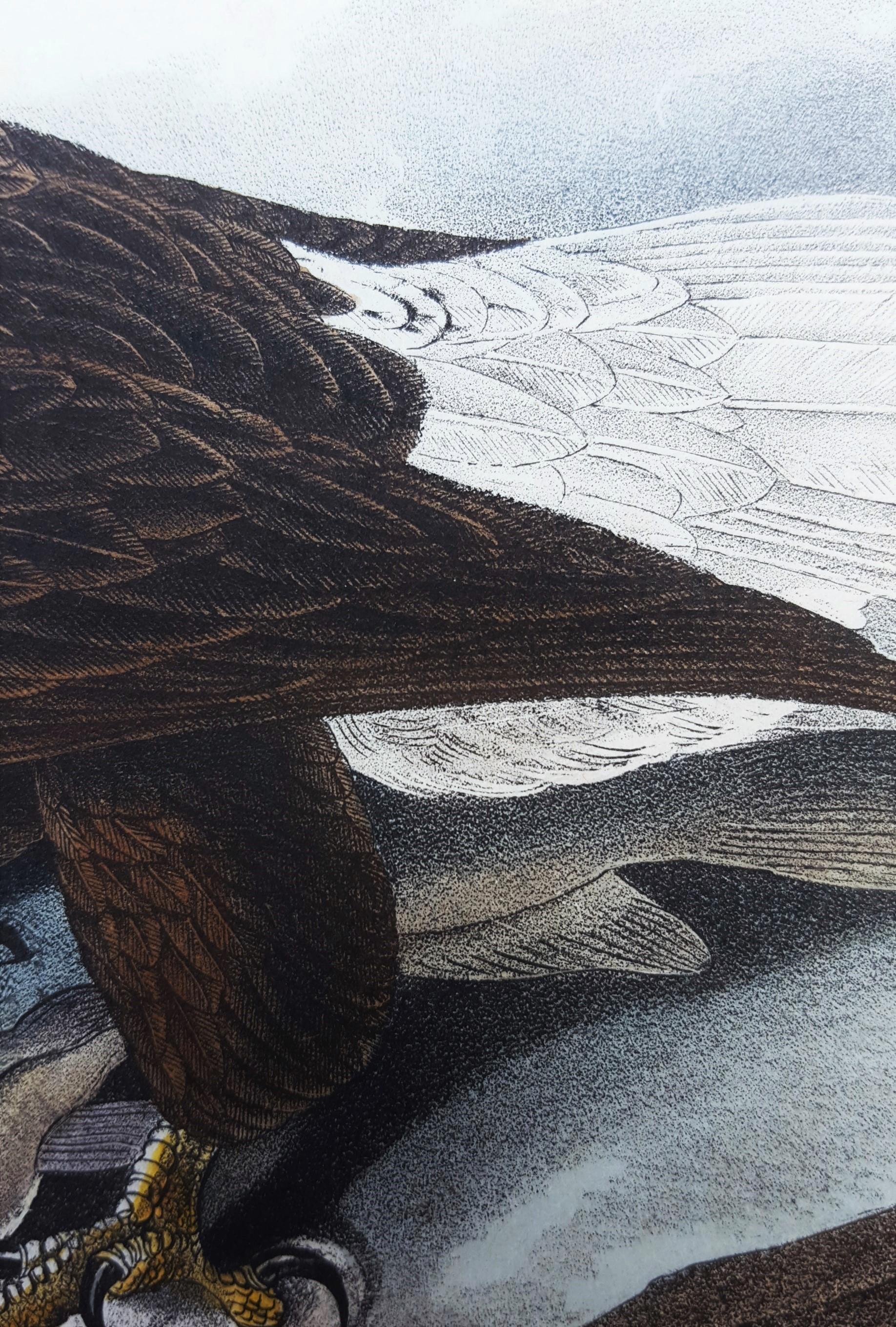 White-headed Sea Eagle, oder Bald Eagle (mit Katzenfisch) /// Vogel John James Audubon im Angebot 14