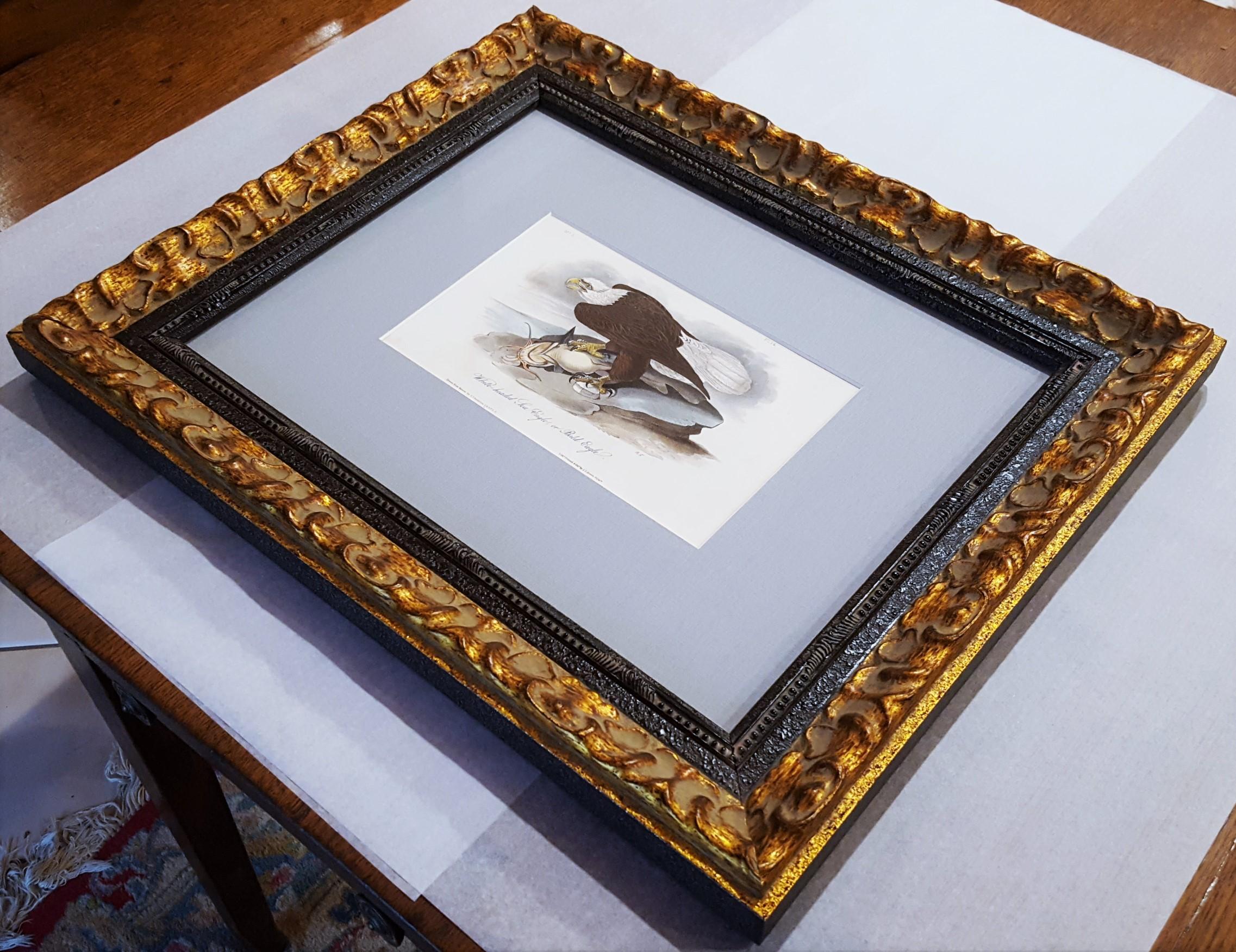 White-headed Sea Eagle, oder Bald Eagle (mit Katzenfisch) /// Vogel John James Audubon im Angebot 18