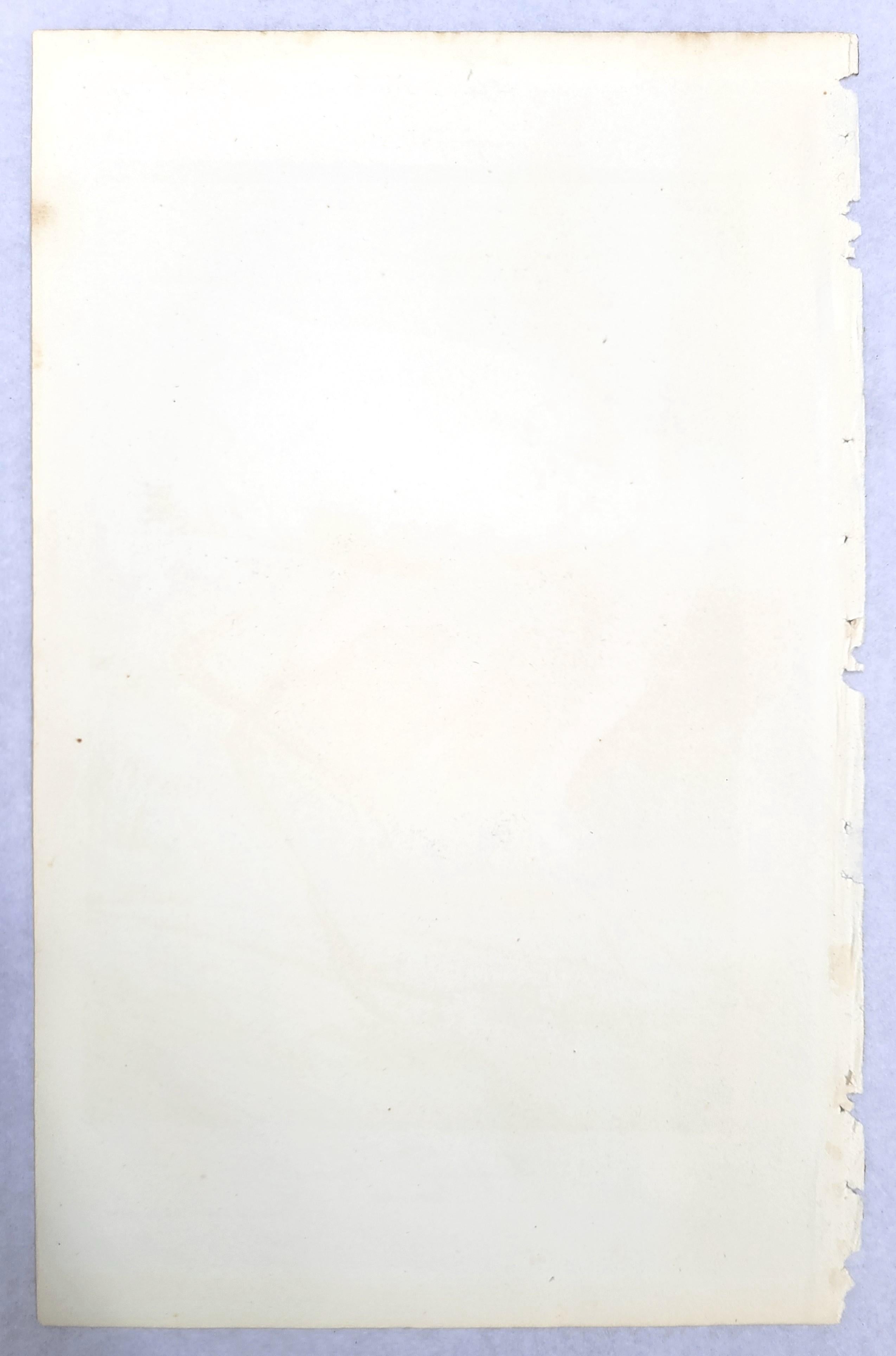 Whooping Crane /// John James Audubon Ornithology Natural History Wading Birds For Sale 13