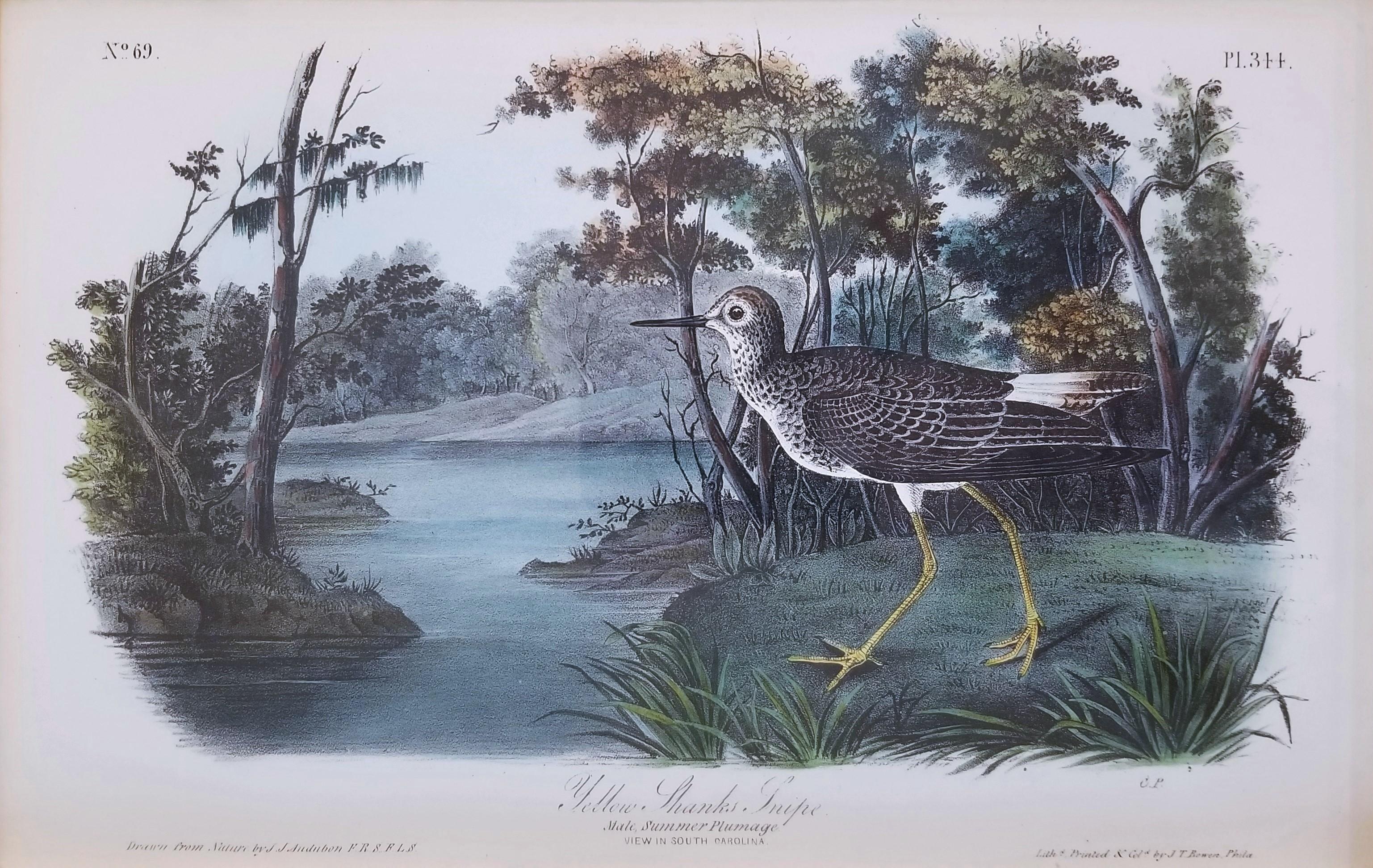 Bécassine des marais (Caroline du Sud) /// Oiseau Ornithologie John James Audubon  en vente 1