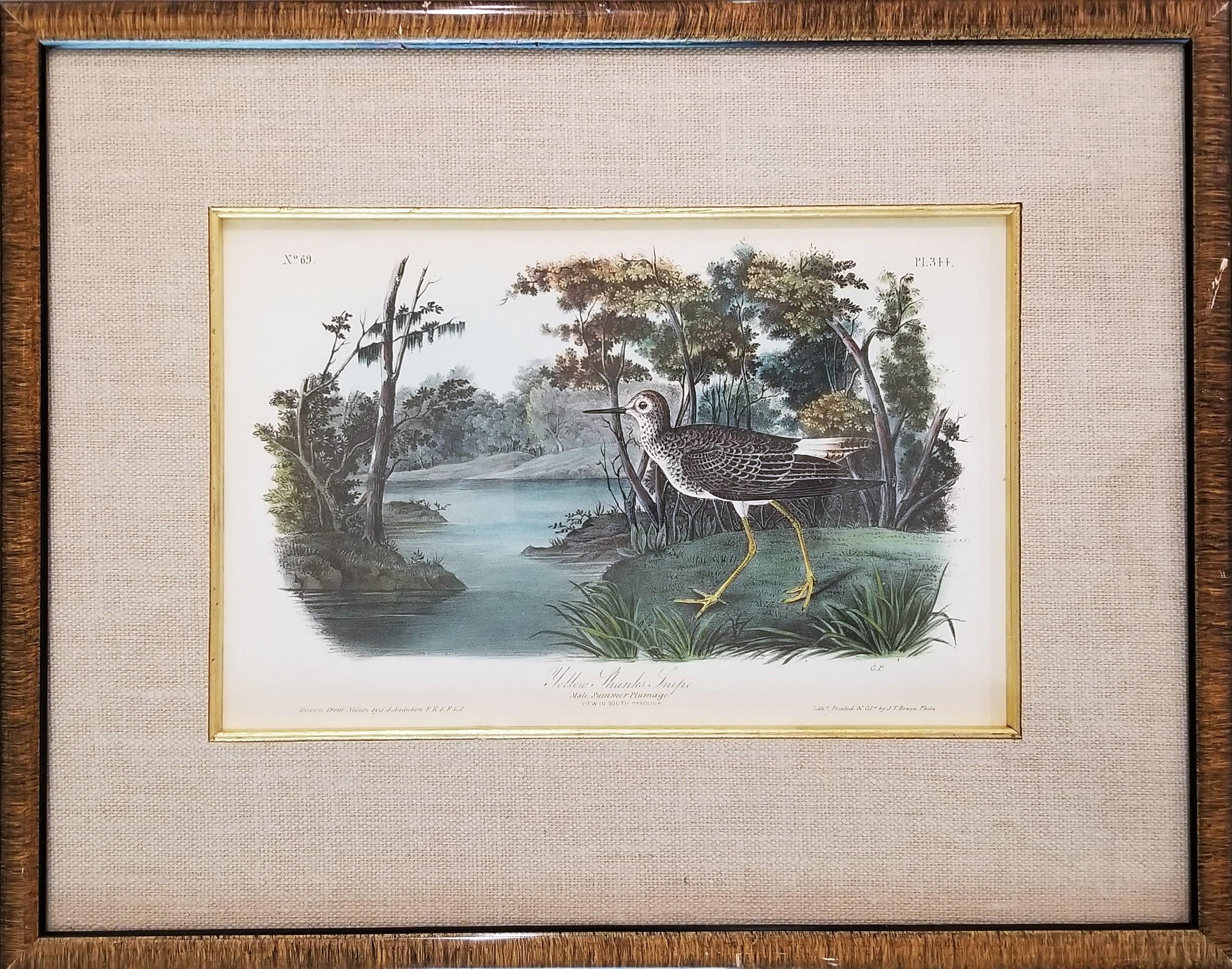 Gelbes Shanks-Messer (South Carolina) /// Vogel Ornithology John James Audubon  im Angebot 2