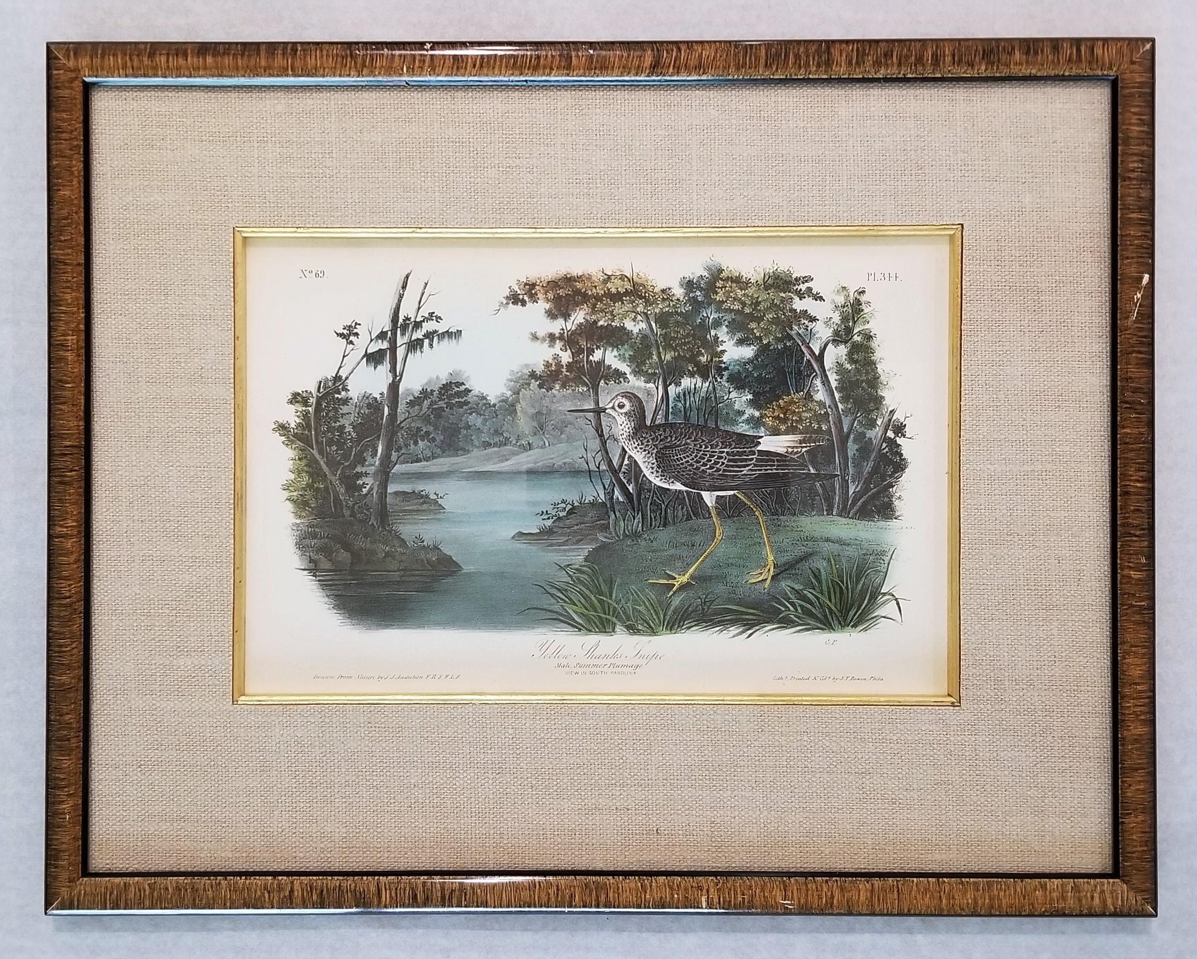 Bécassine des marais (Caroline du Sud) /// Oiseau Ornithologie John James Audubon  en vente 3