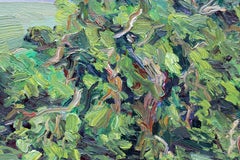 Cheesebro Oak, Painting, Oil on Canvas