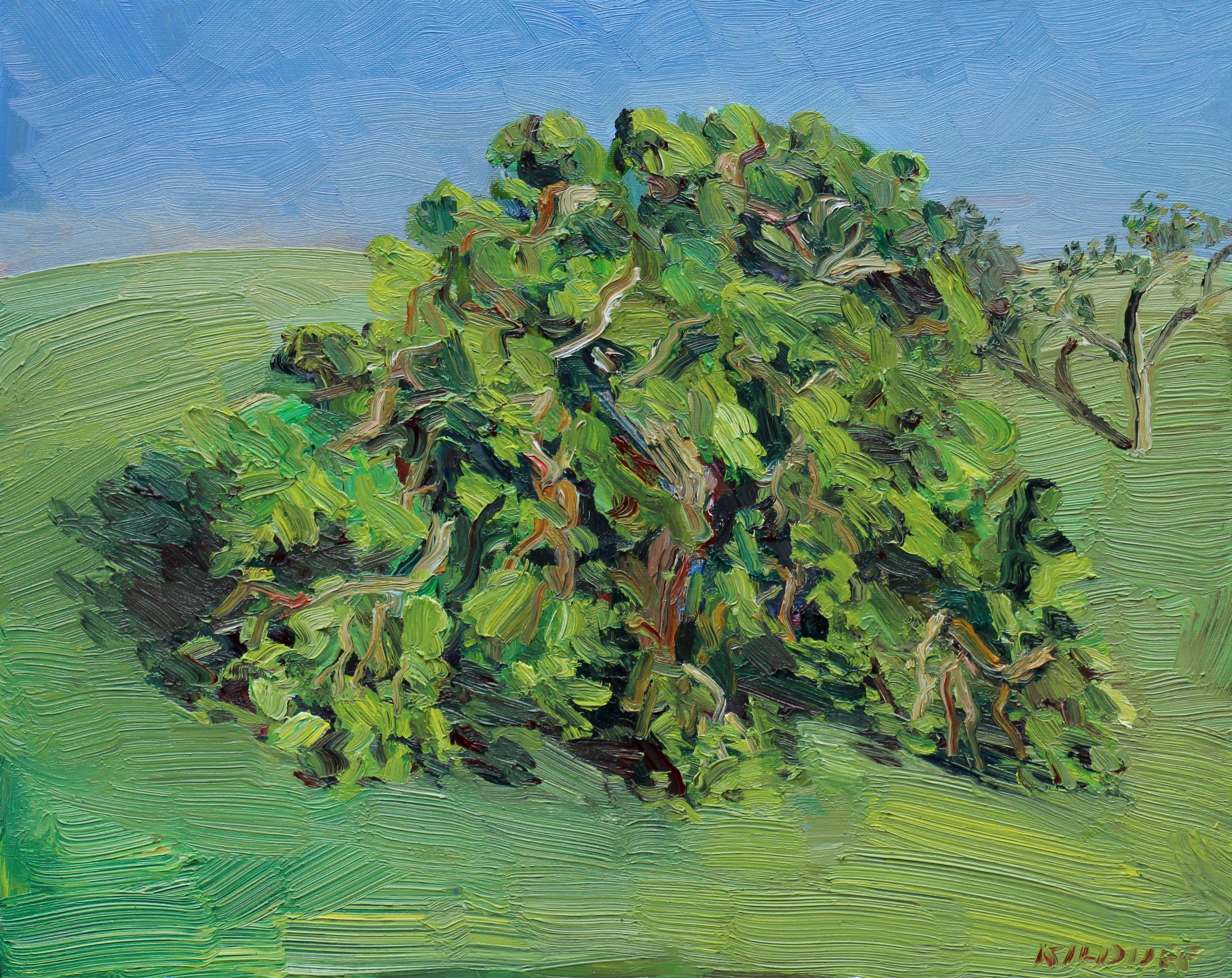 Plein air painting (painted on location) of an oak tree at Cheesebro Park in Agoura Hills, California. :: Painting :: Impressionist :: This piece comes with an official certificate of authenticity signed by the artist :: Ready to Hang: No :: Signed: