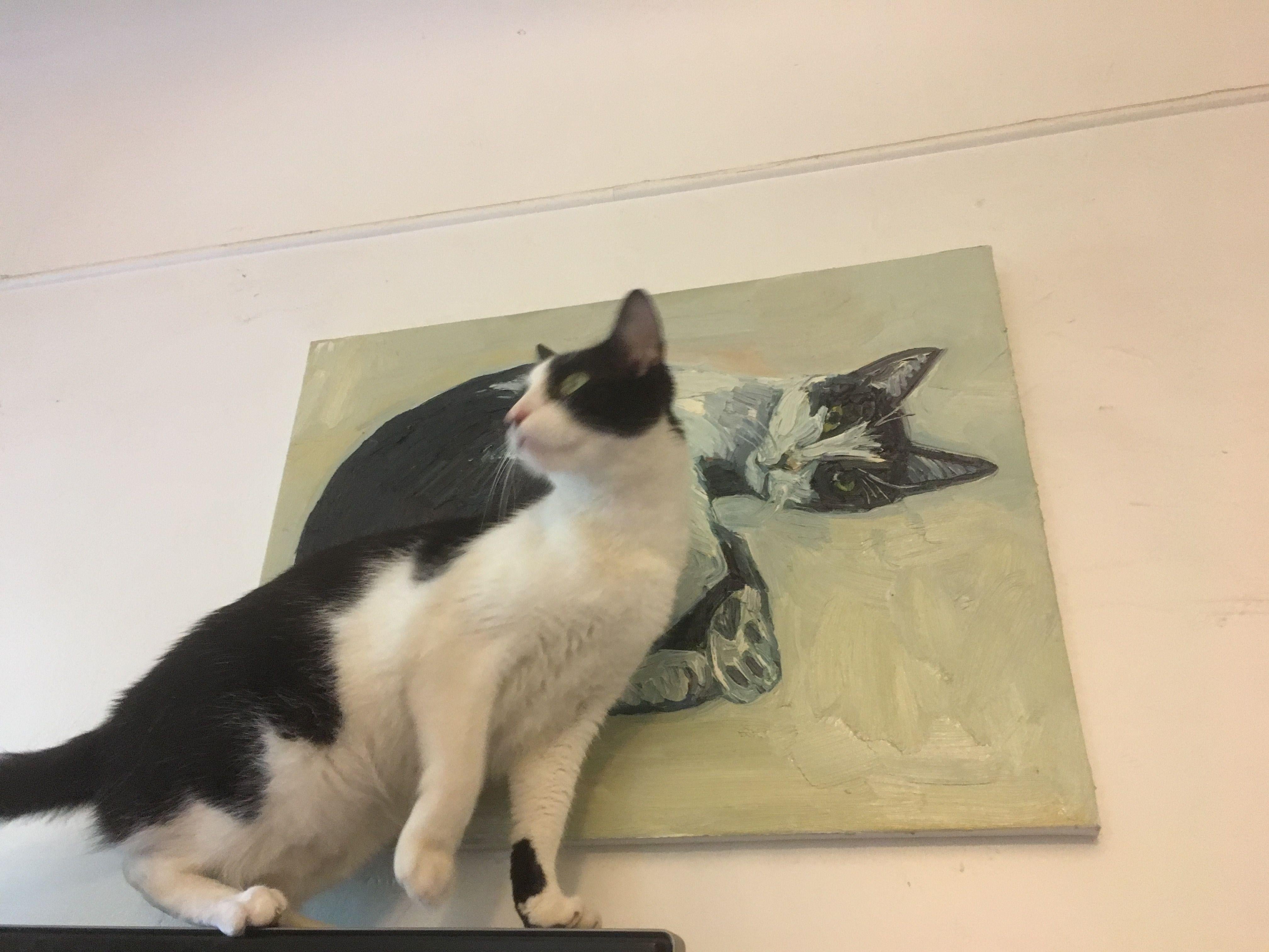 cat paintings on canvas