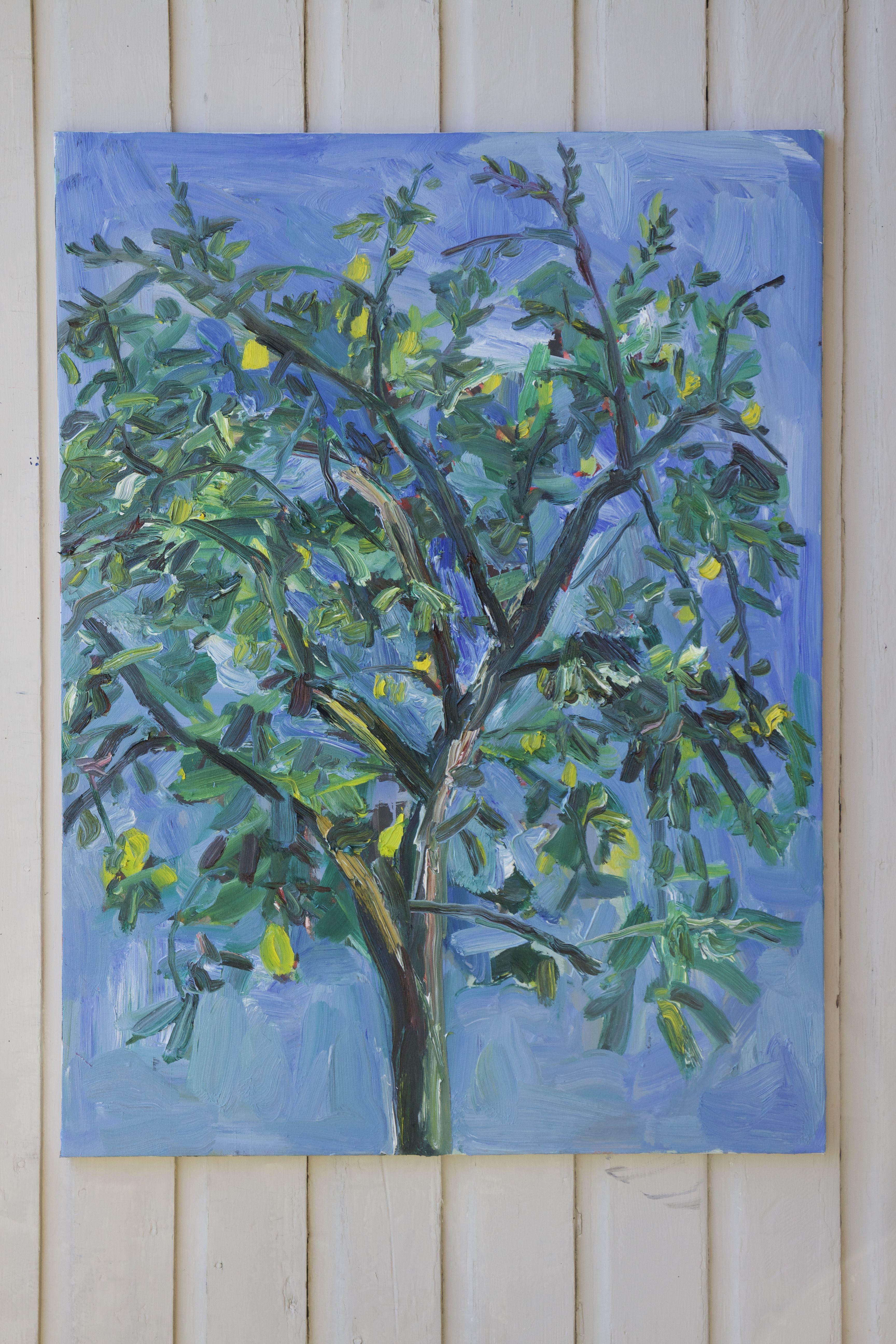 Plein air oil painting of the lemon tree in the backyard.  :: Painting :: Fine Art :: This piece comes with an official certificate of authenticity signed by the artist :: Ready to Hang: No :: Signed: Yes :: Signature Location: on the back :: Canvas
