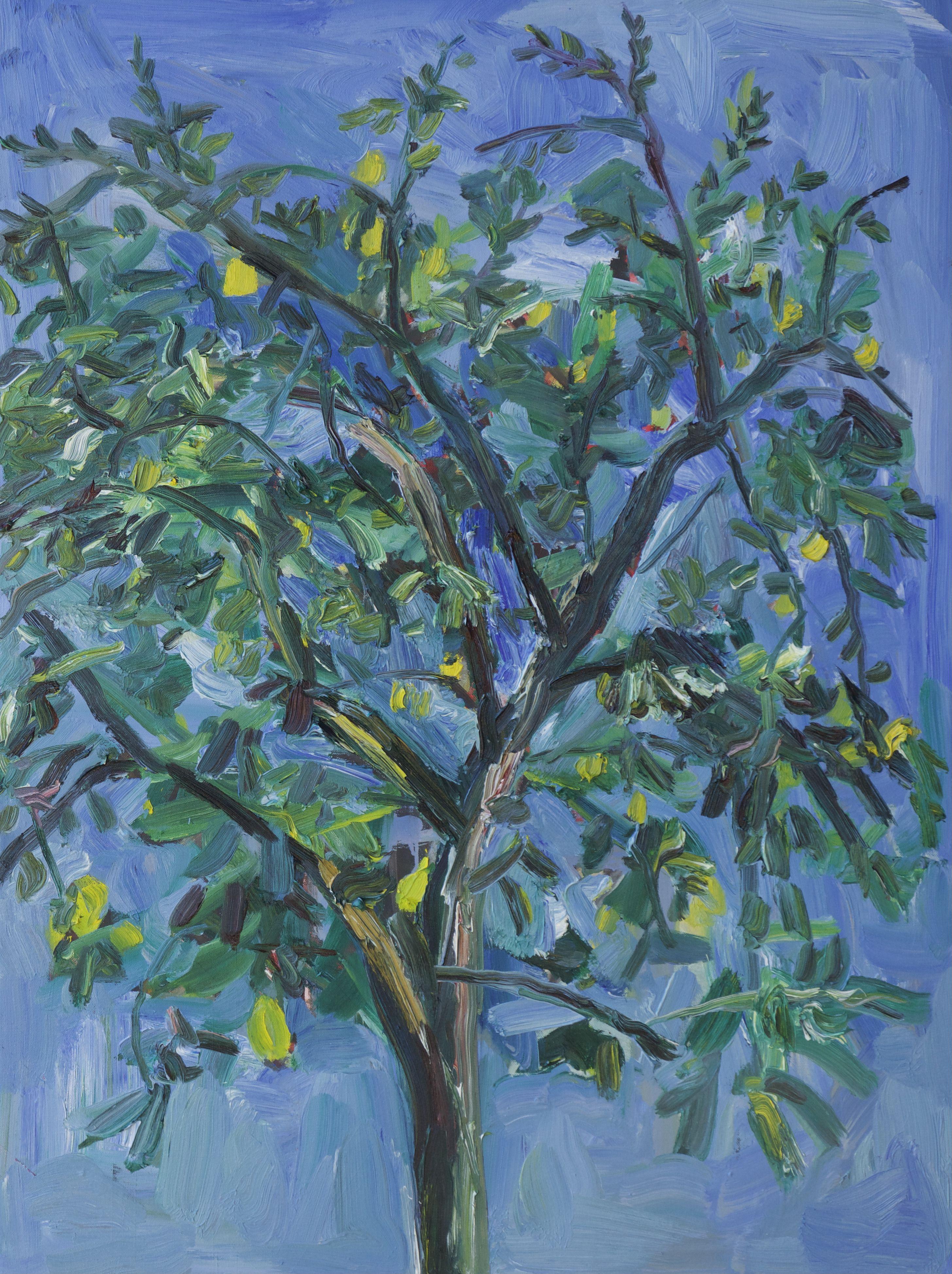 Zitronenbaum in Quarentin, Gemälde, Öl auf Leinwand – Painting von John Kilduff