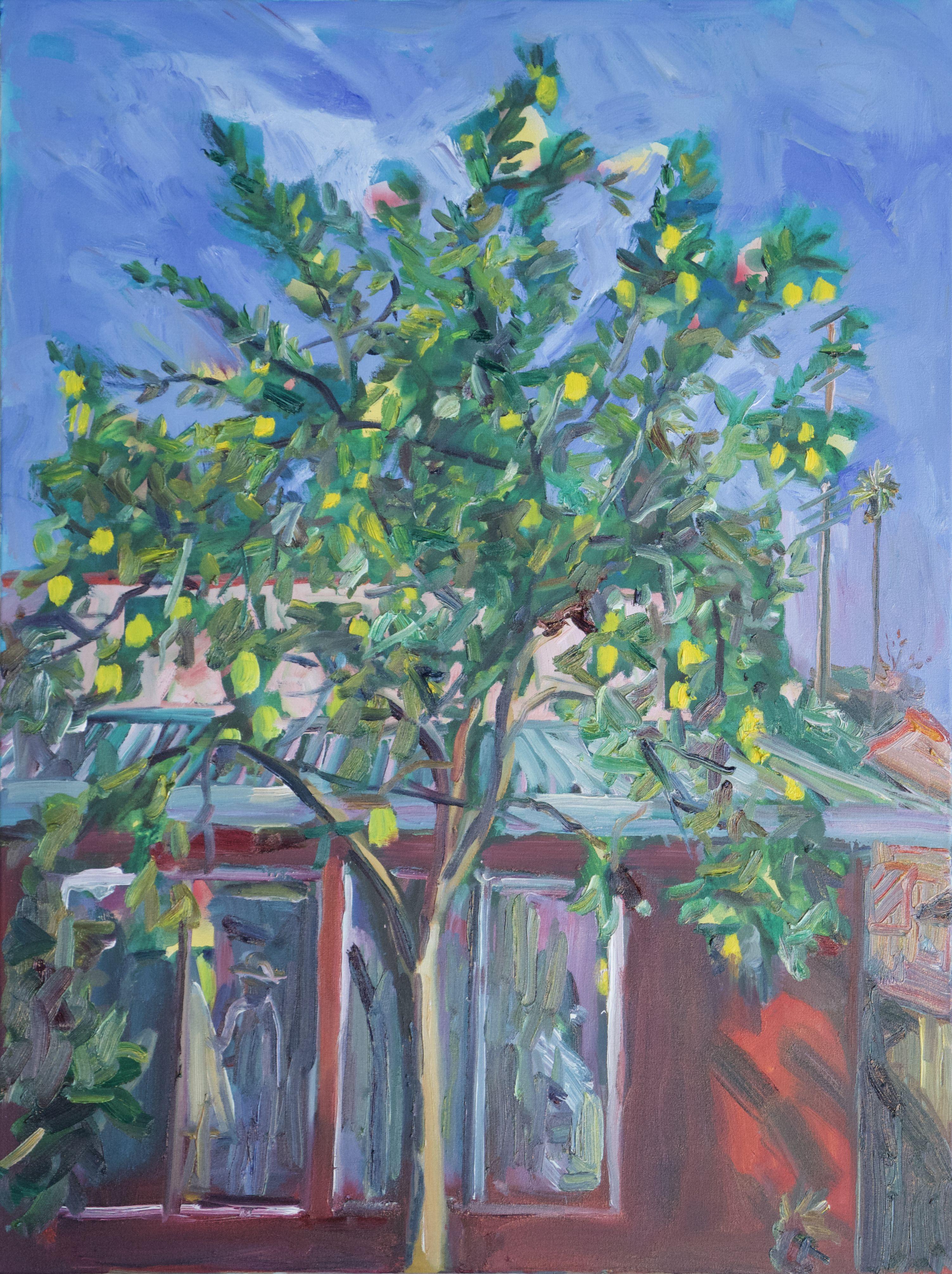 Peinture, huile sur toile, arbre de citronnier dans la cour
