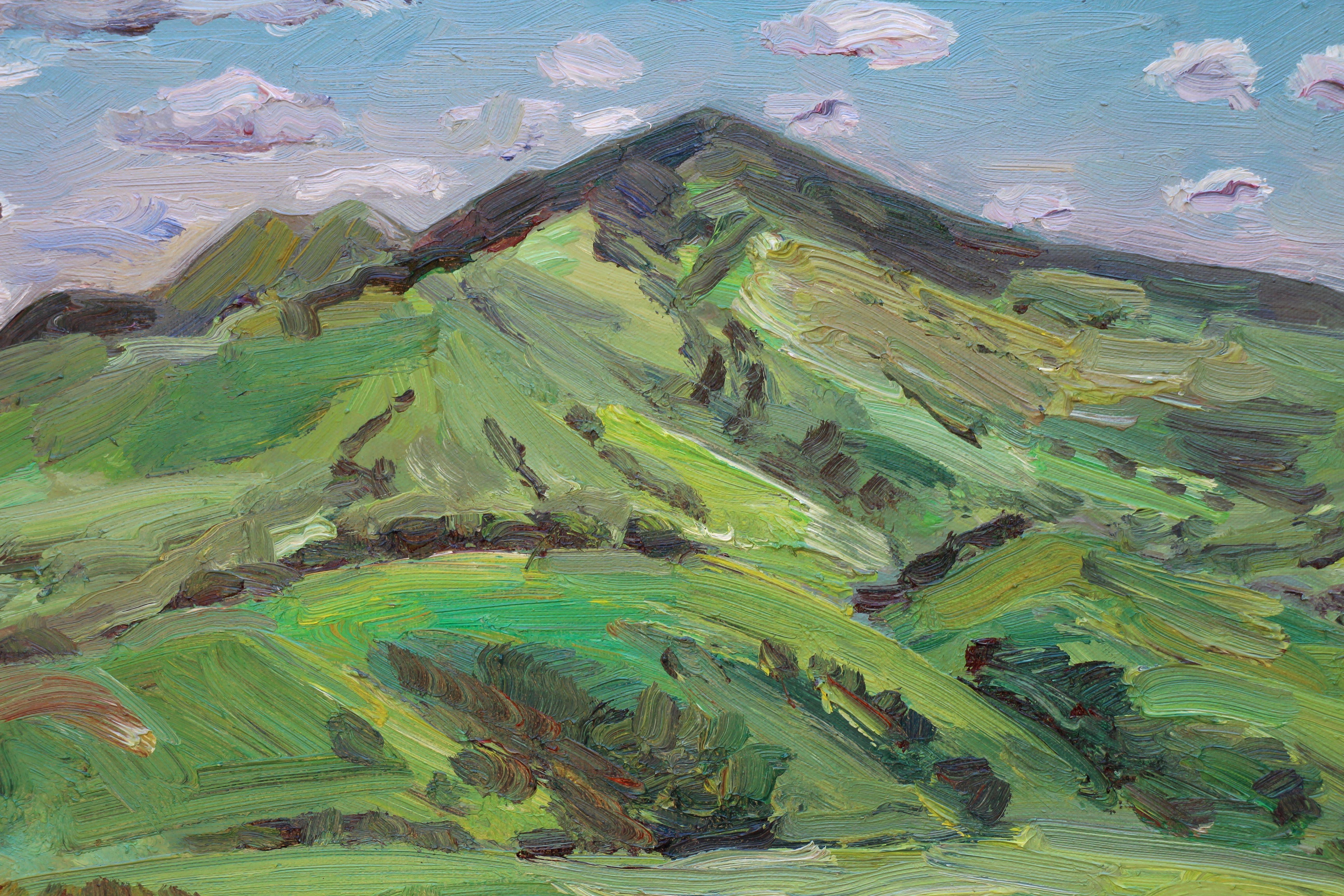 Mount Diablo, Painting, Oil on Canvas For Sale 1